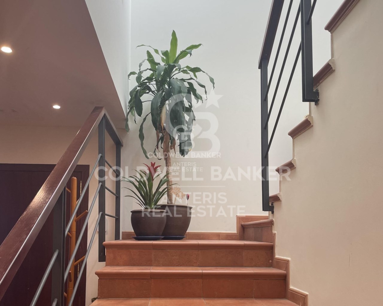 Tarragona, Reus, Mestral Tarragona, Reus, Mestral, Reus, Catalonia, ES, 5 Bedrooms Bedrooms, ,2 BathroomsBathrooms,Residential,For Sale,Tarragona, Reus, Mestral Tarragona, Reus, Mestral ,1617058