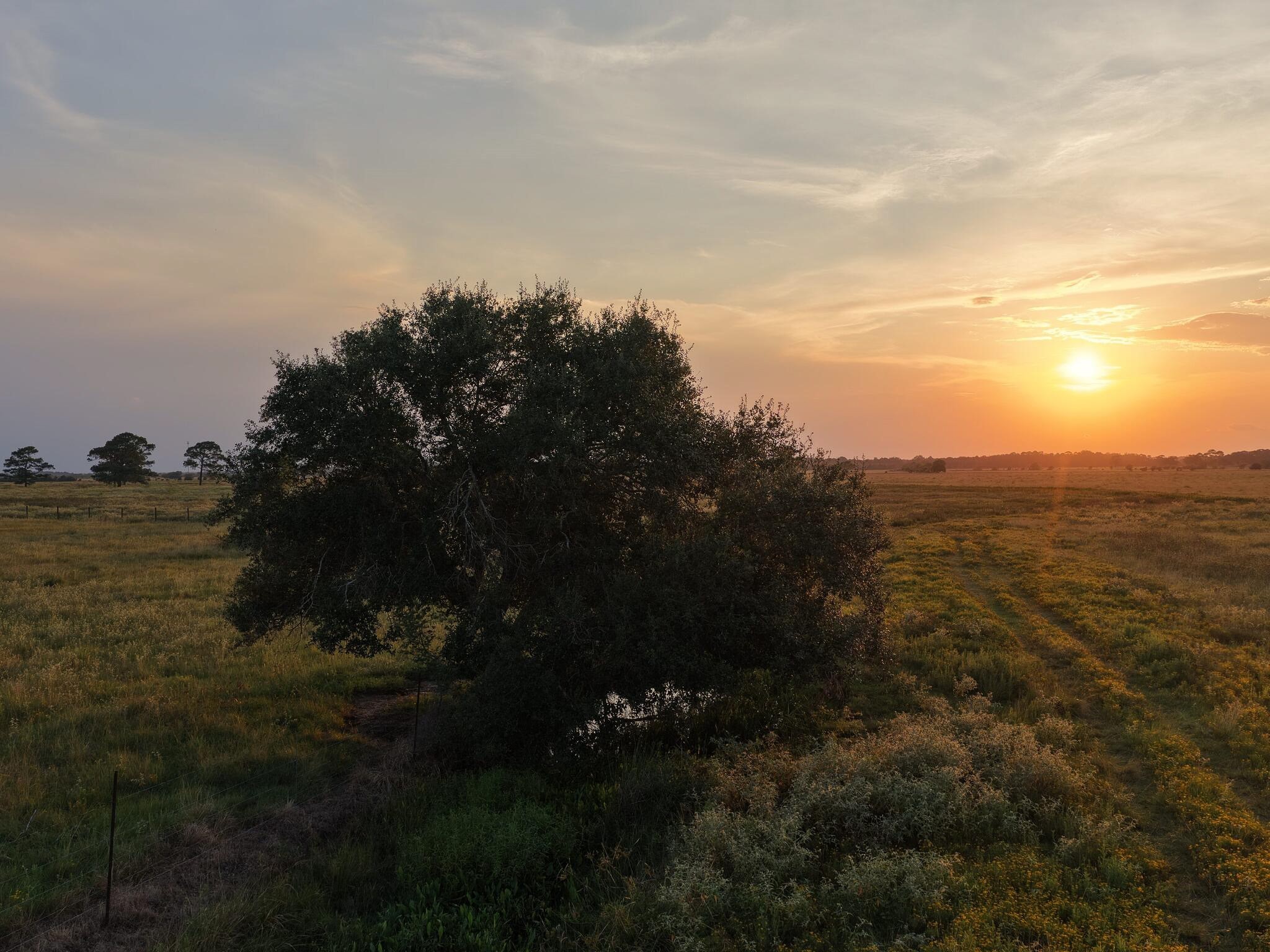 Anahuac, Texas, 77514, United States, ,Land,For Sale,1947447