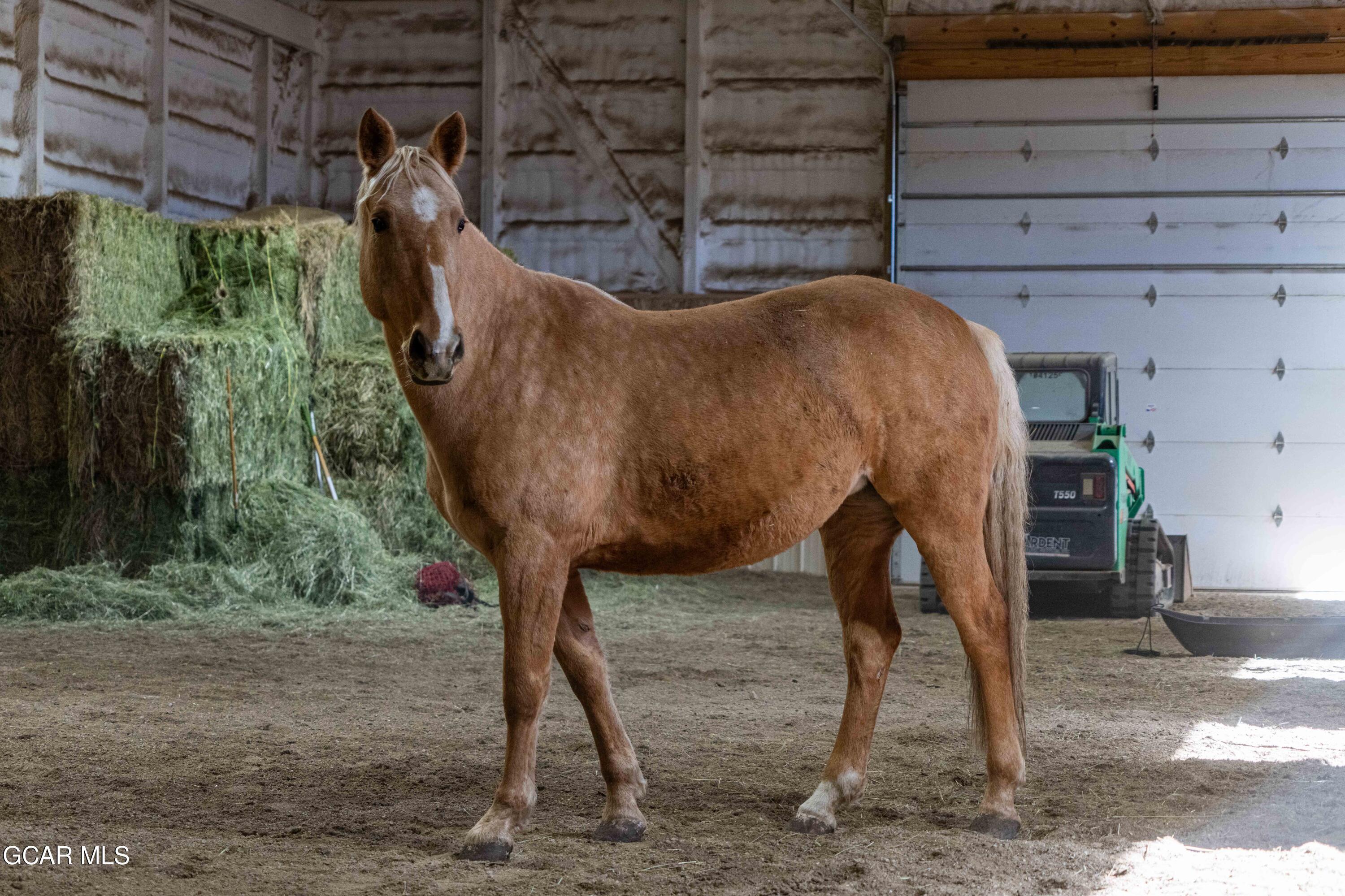 Hot Sulphur Springs, Colorado, 80451, United States, 6 Bedrooms Bedrooms, ,6 BathroomsBathrooms,Residential,For Sale,1999593