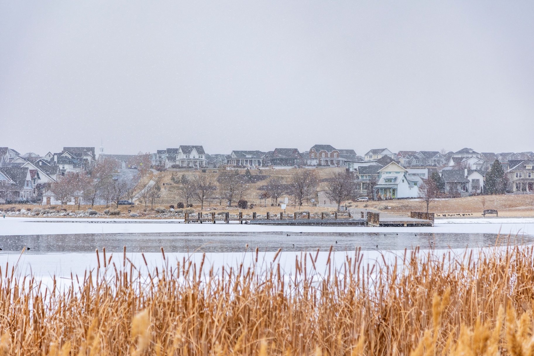  Rare North Shore Gem on One of Daybreak