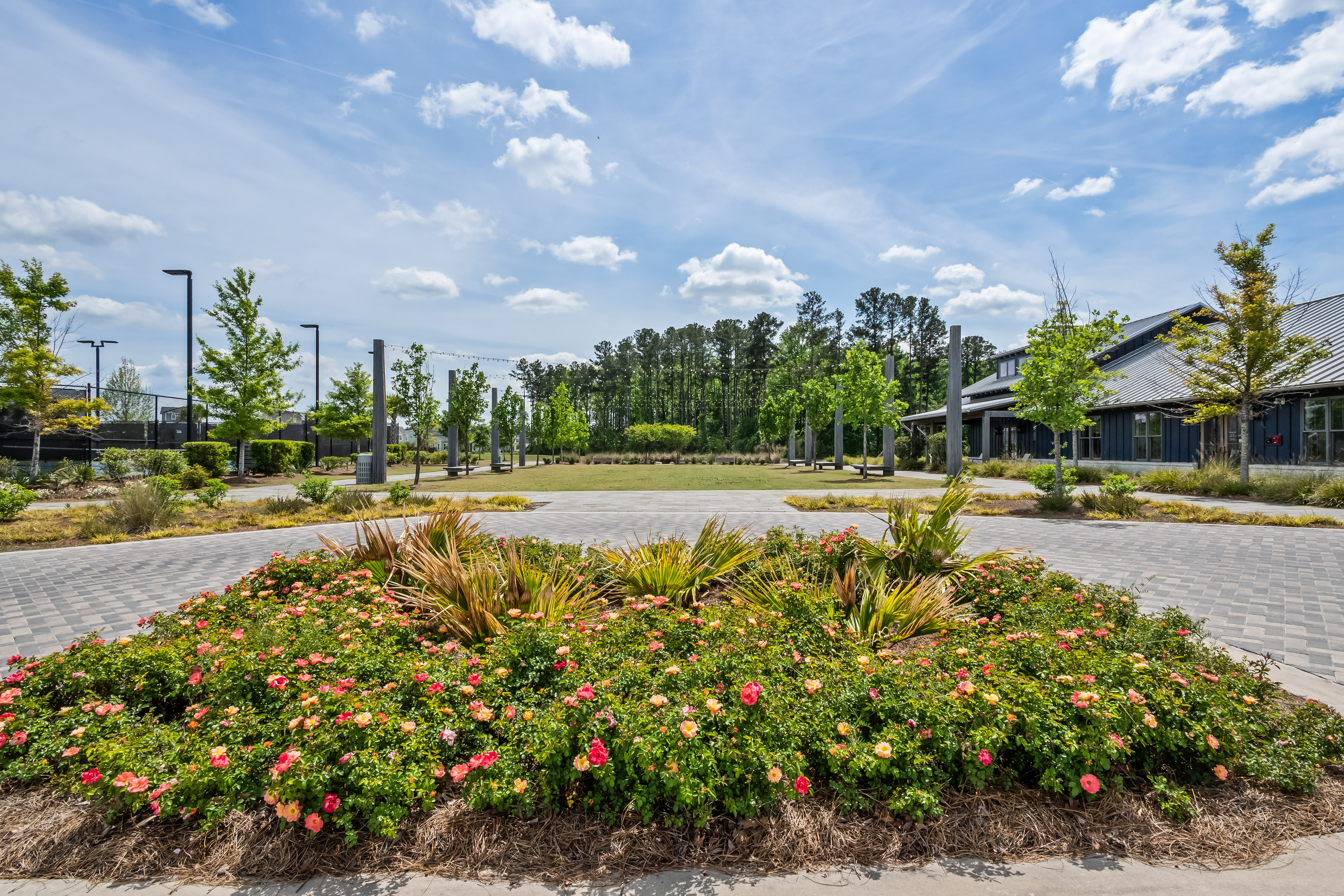  216 Symphony Avenue - 物件實景