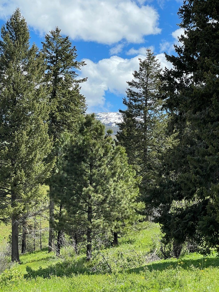 Council, Idaho, 83612, United States, ,Residential,For Sale,1935833