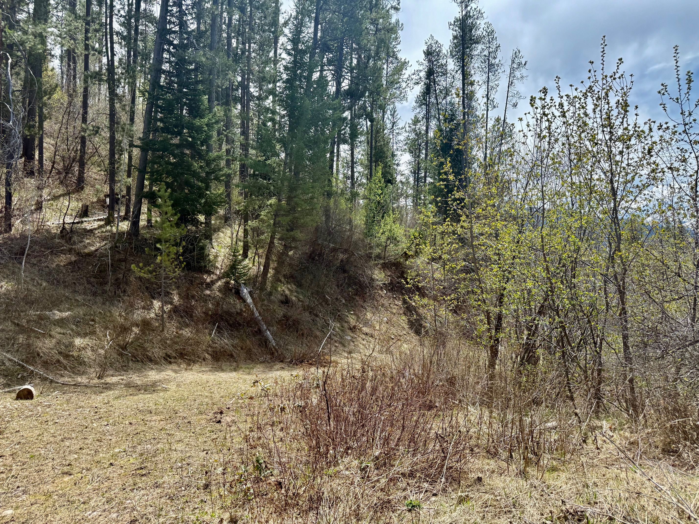  Property Overlooking the Palisades Reservoir - 物件實景