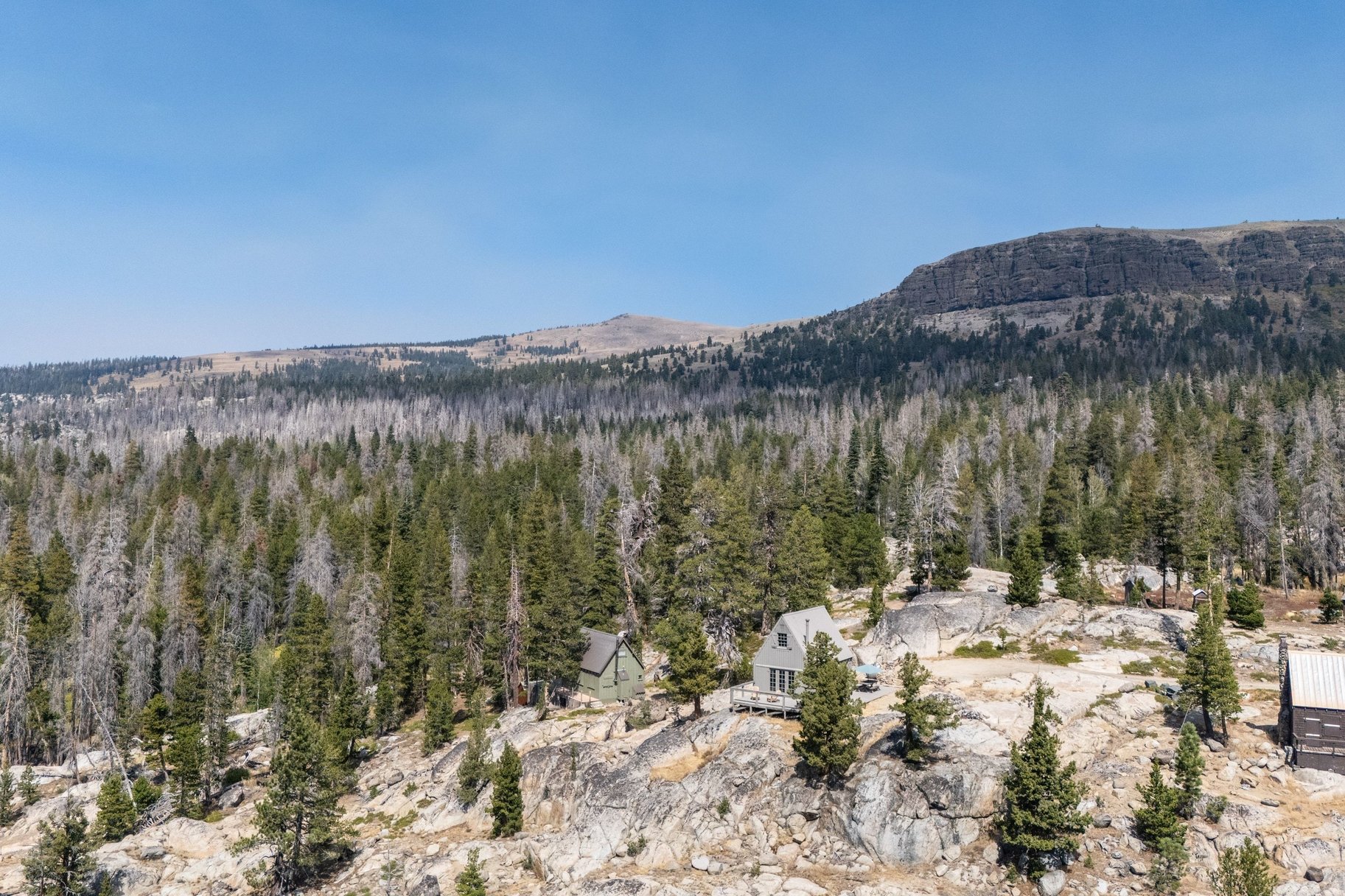  The Juniper Cabin: A Wild Invitation to See the World Differently - 物件實景