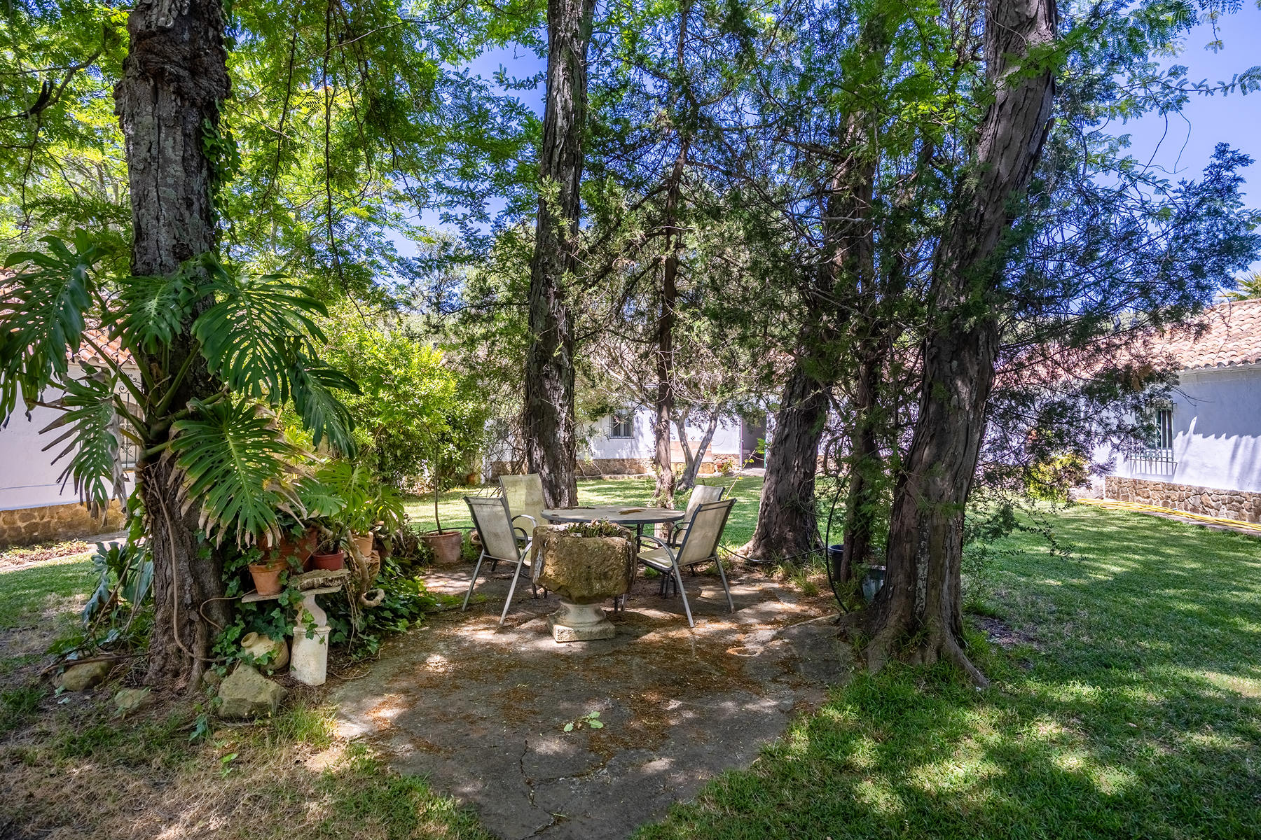  Exclusive Estate in Los Alcornocales Natural Park - 物件實景