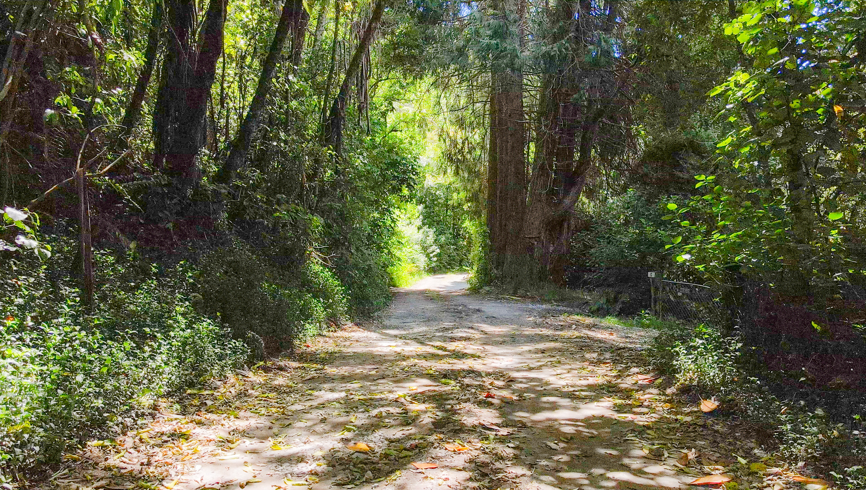  A Rare Rotoiti Legacy - 物件實景
