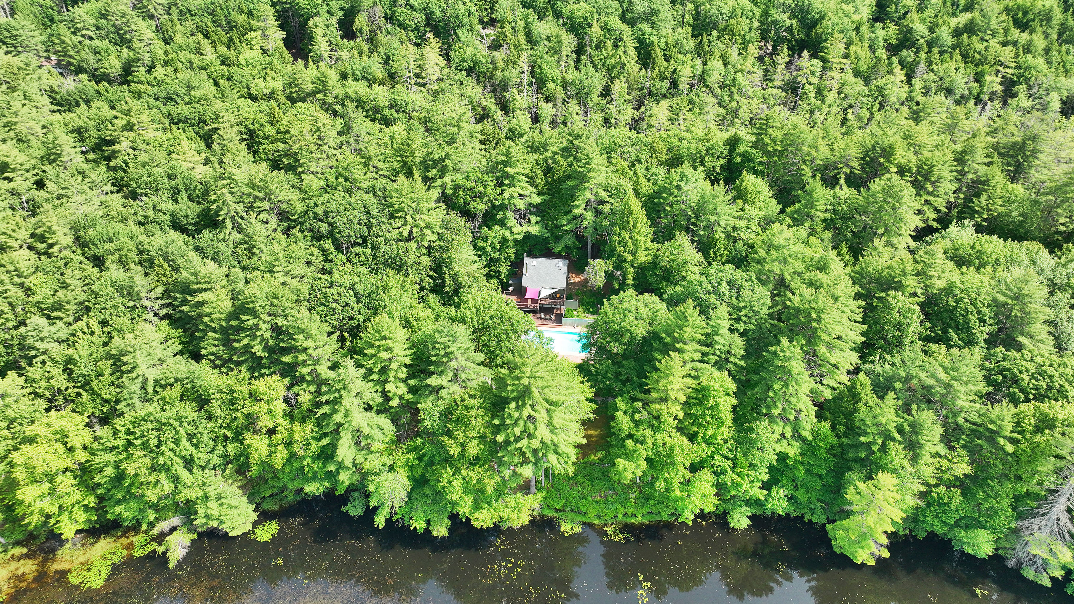  261 Forest Road - 物件實景