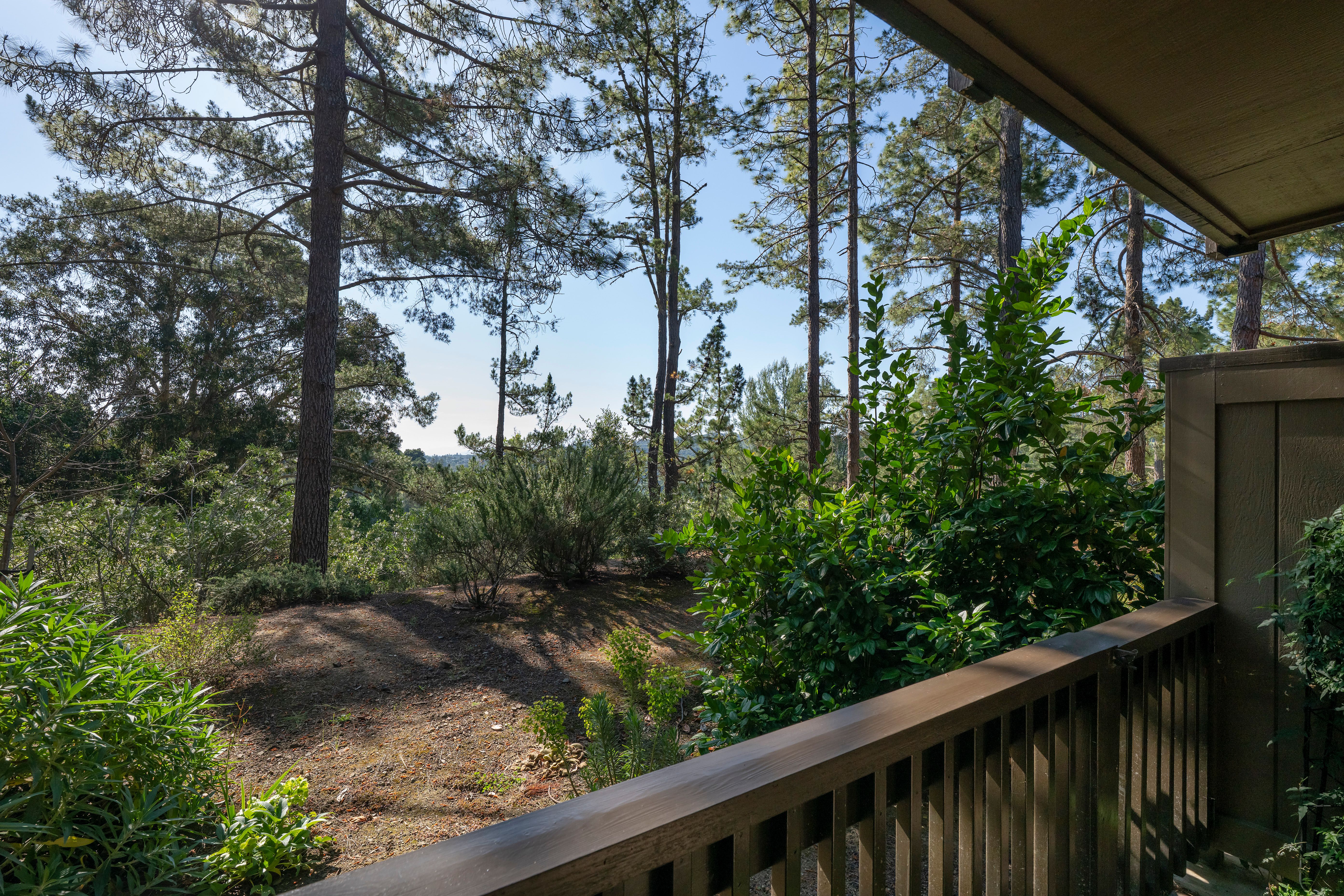  3323 La Mesa Drive #2, San Carlos, CA 94070 - 物件實景