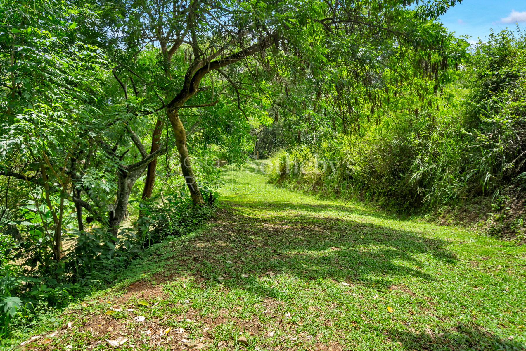  Atenas Highlands Eco Estate - 物件實景
