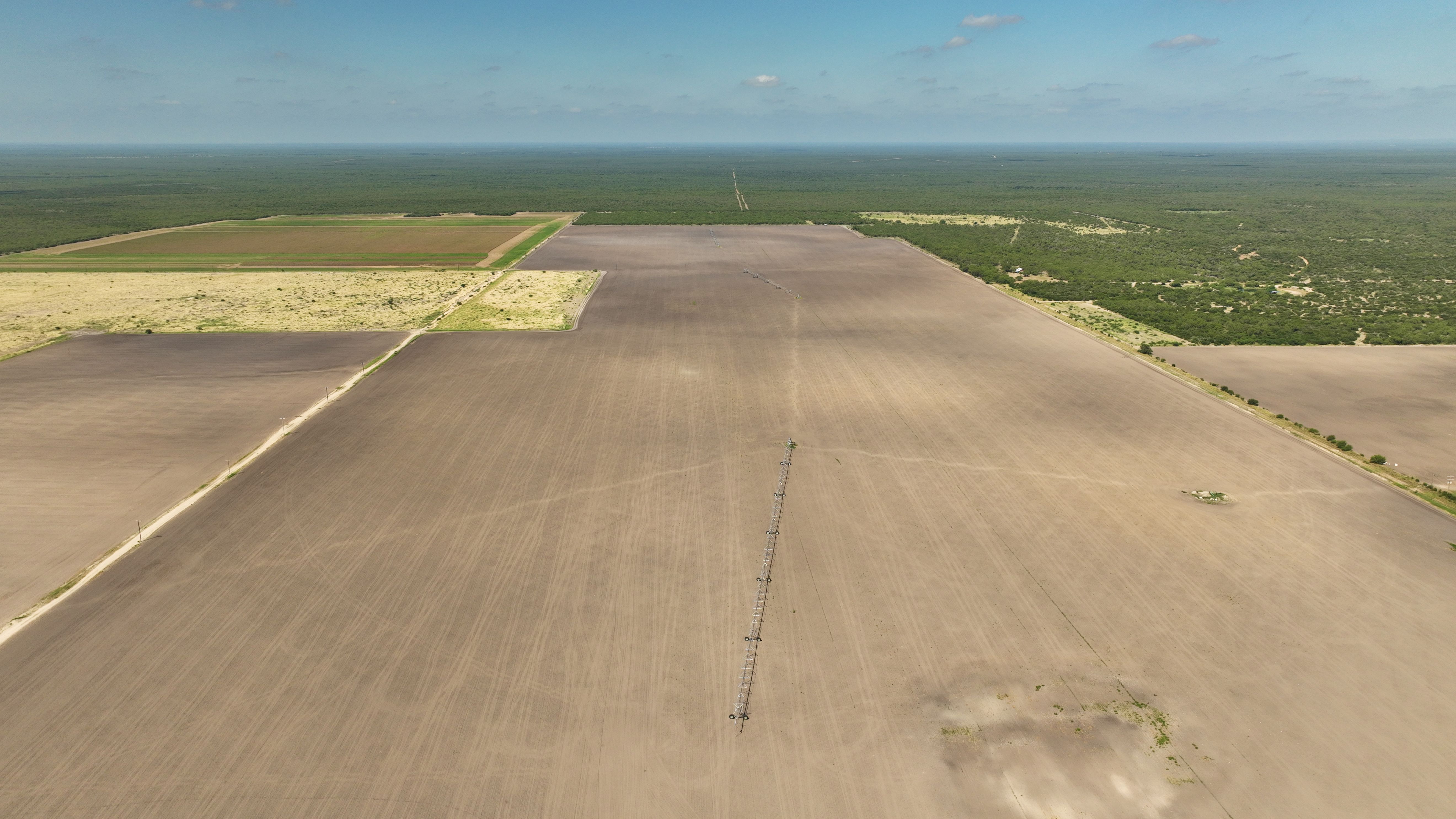  375+/- La Pryor Farm, Zavala County , La Pryor, TX 78872 - 物件實景