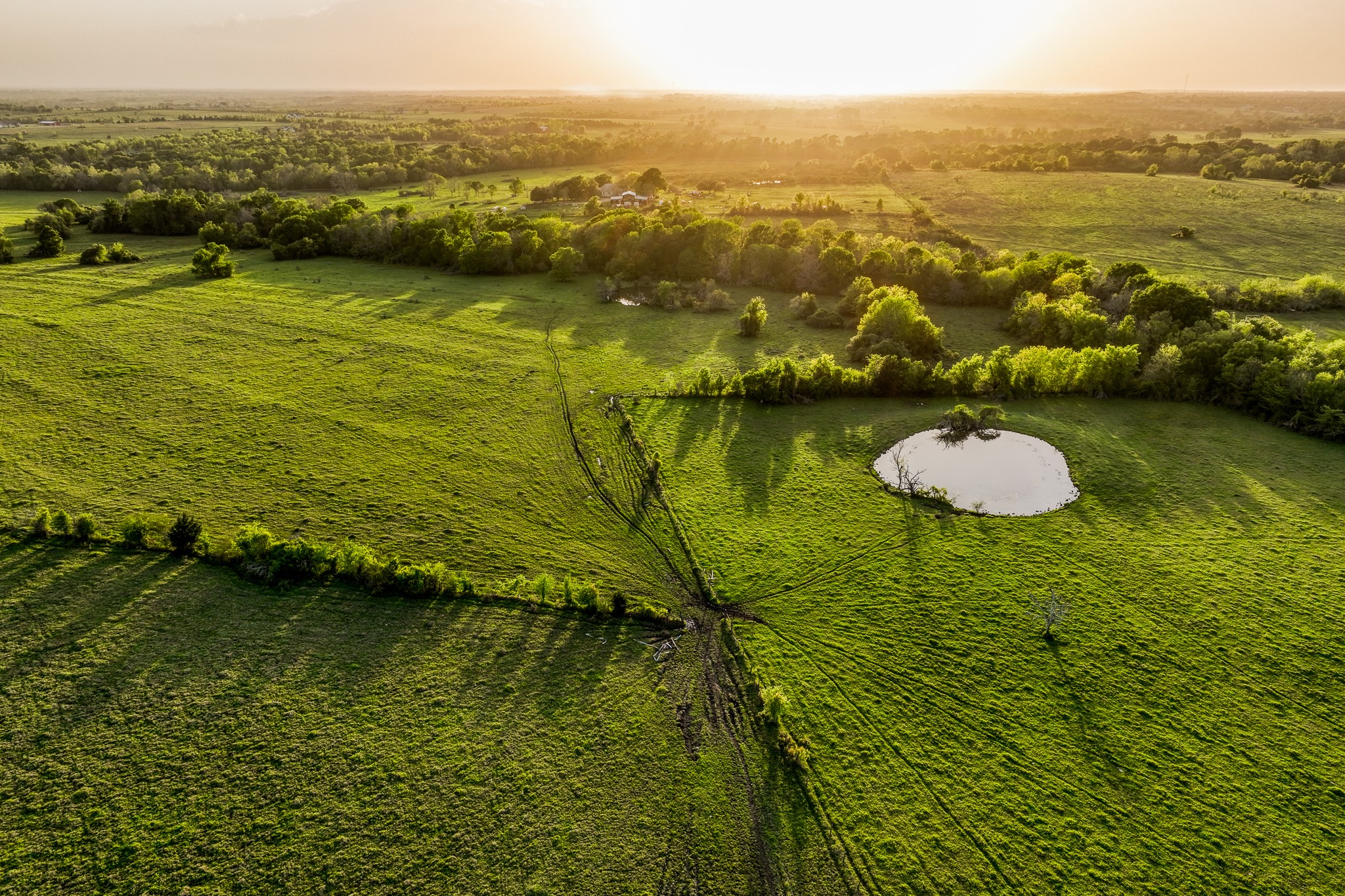  20751 Fm 1155, Washington, TX, 77880 - 物件實景