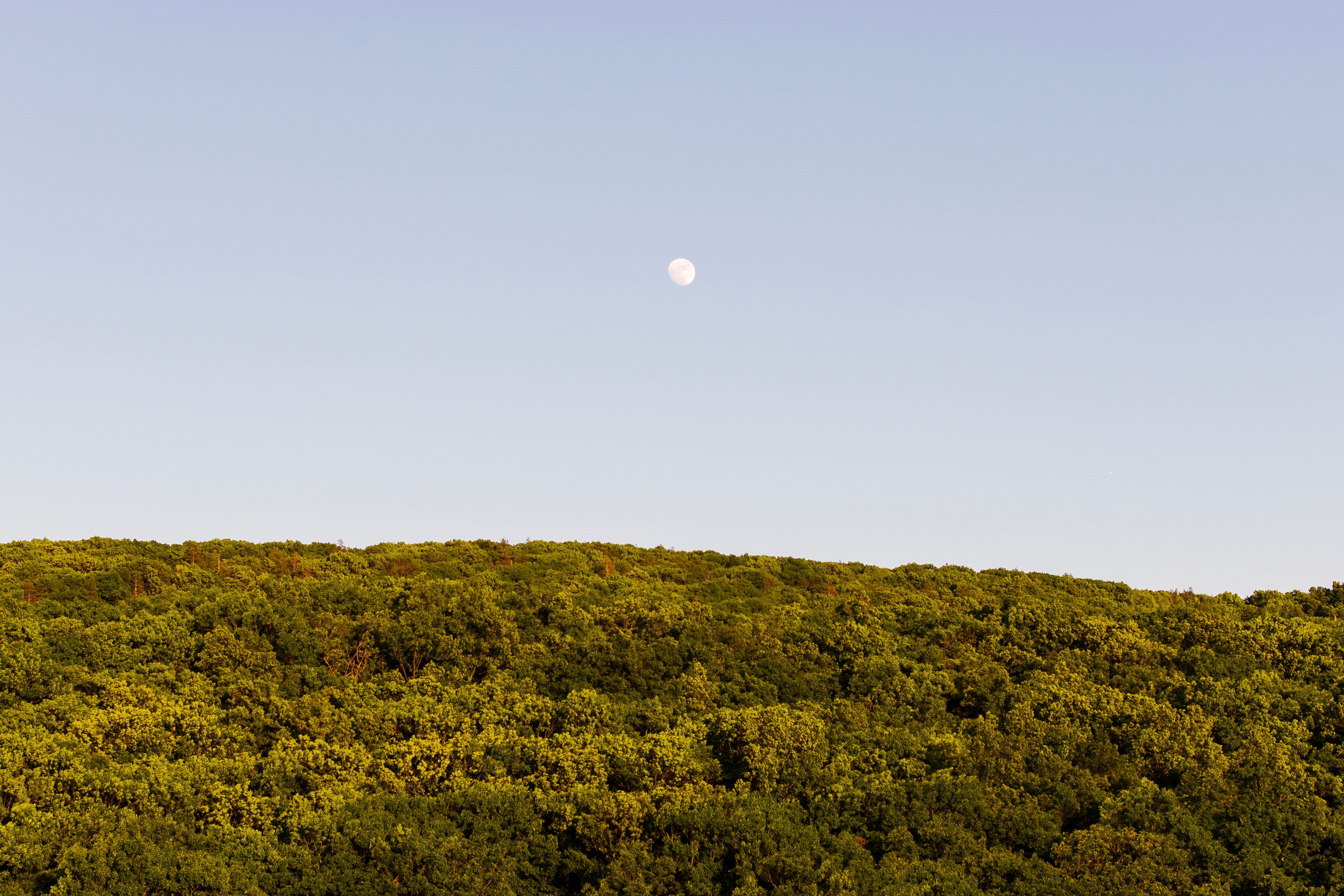  322 Schultz Lane, Kingston, NY 12401 - 物件實景