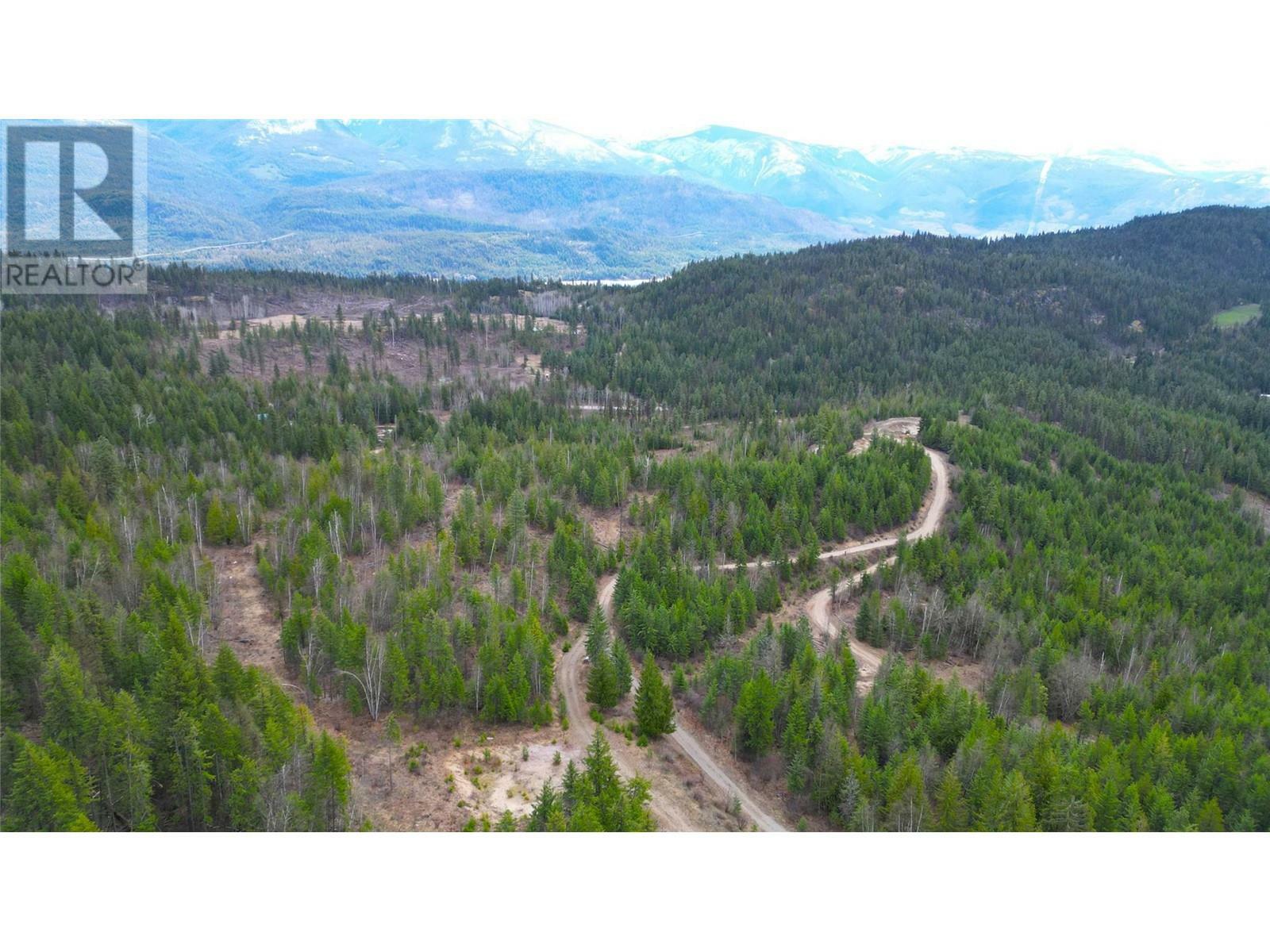 EDGEWOOD, British Columbia, V0G 1J0, CA, ,Residential,For Sale,1837300