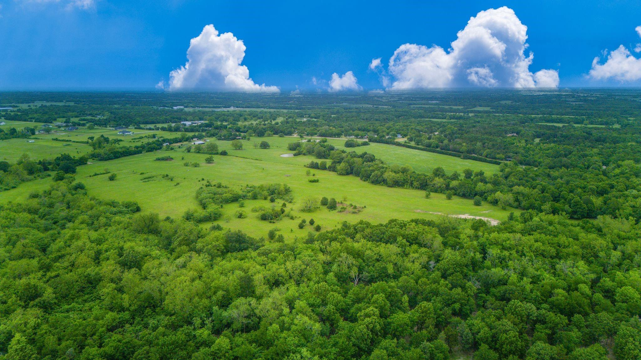 Celeste, Texas, 75423, United States, ,Land,For Sale,1977451