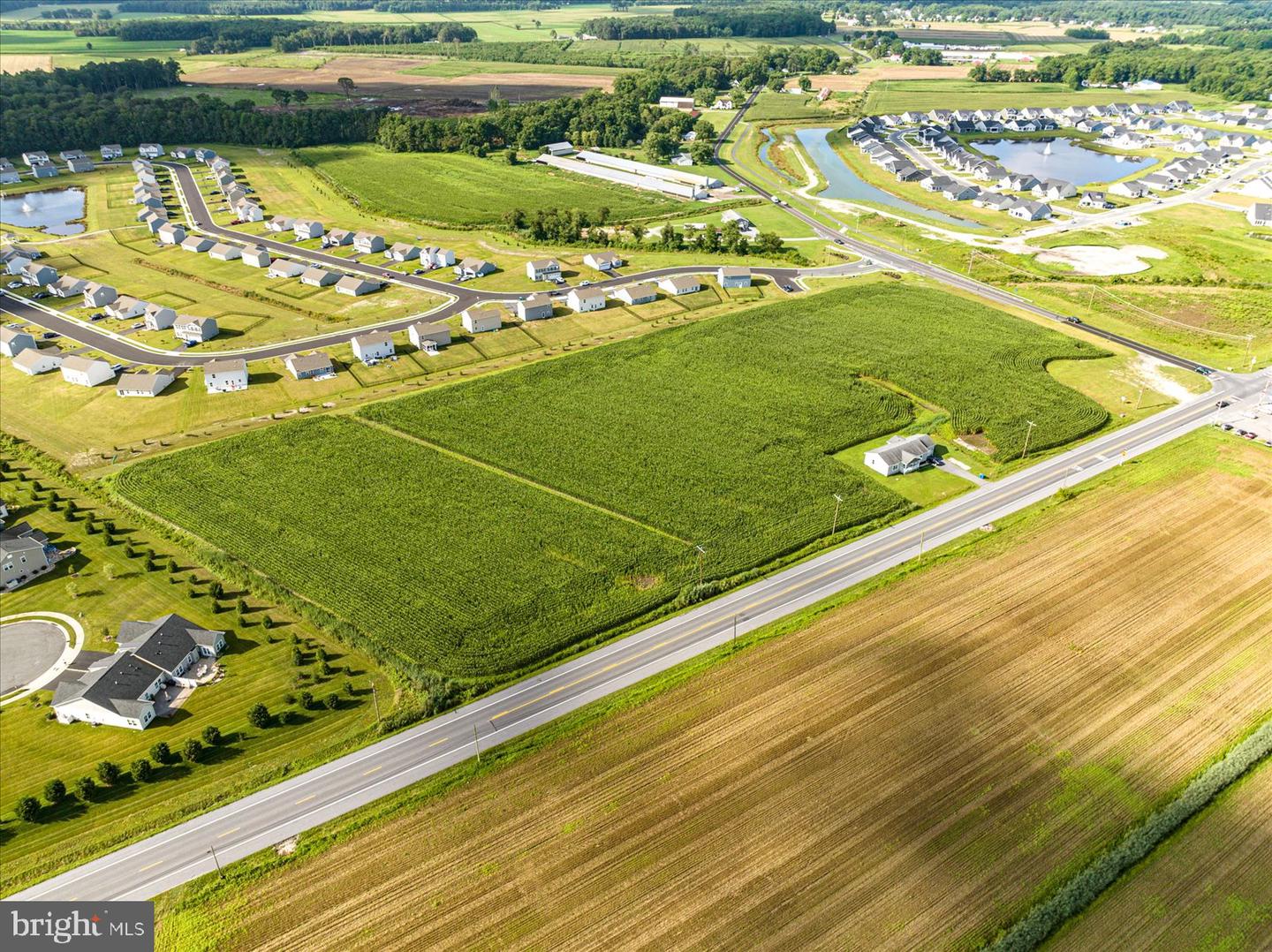 32474 Lighthouse Road, Selbyville, Delaware, 19975, United States, ,Land,For Sale,32474 Lighthouse Road,1613559