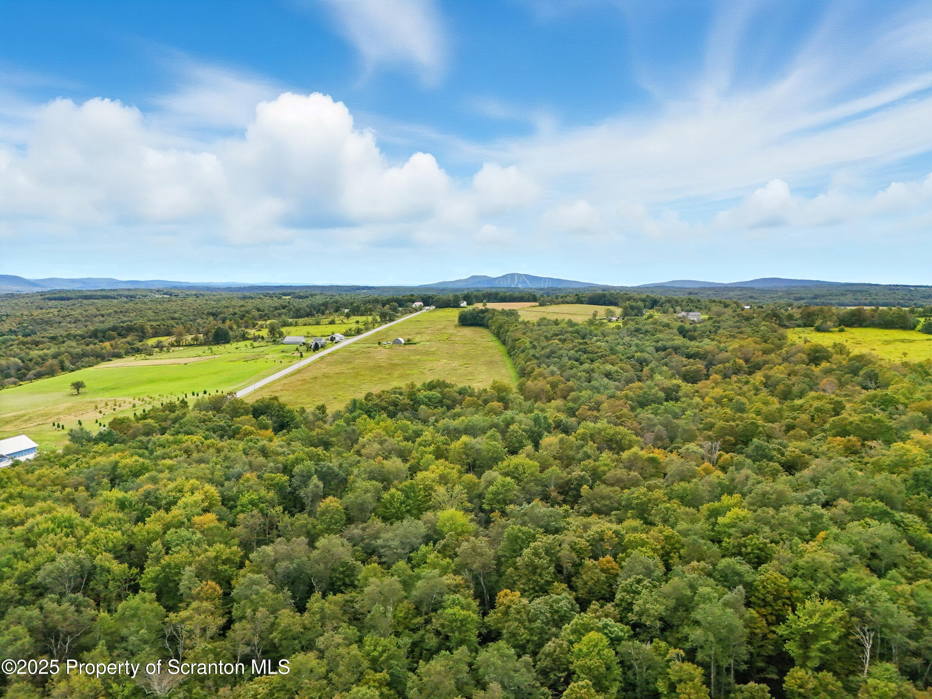 Union Dale, Pennsylvania, 18470, United States, ,Land,For Sale,1975755