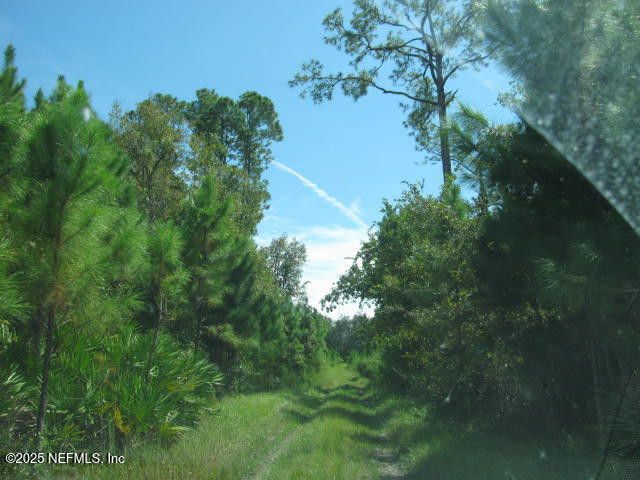 Crescent City, Florida, 32112, United States, ,Land,For Sale,1974247