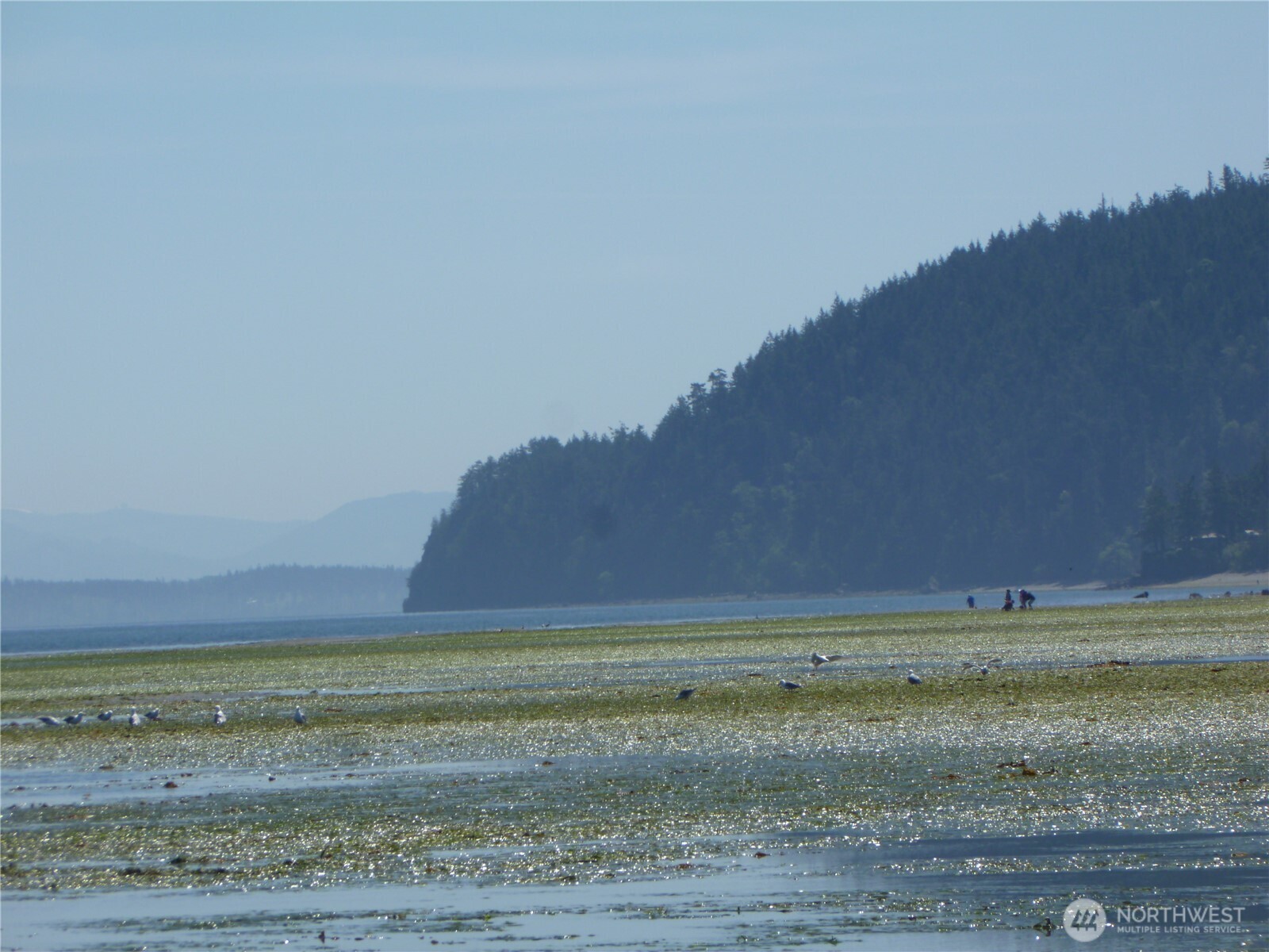 Anacortes, Washington, 98221, United States, ,Land,For Sale,1867007