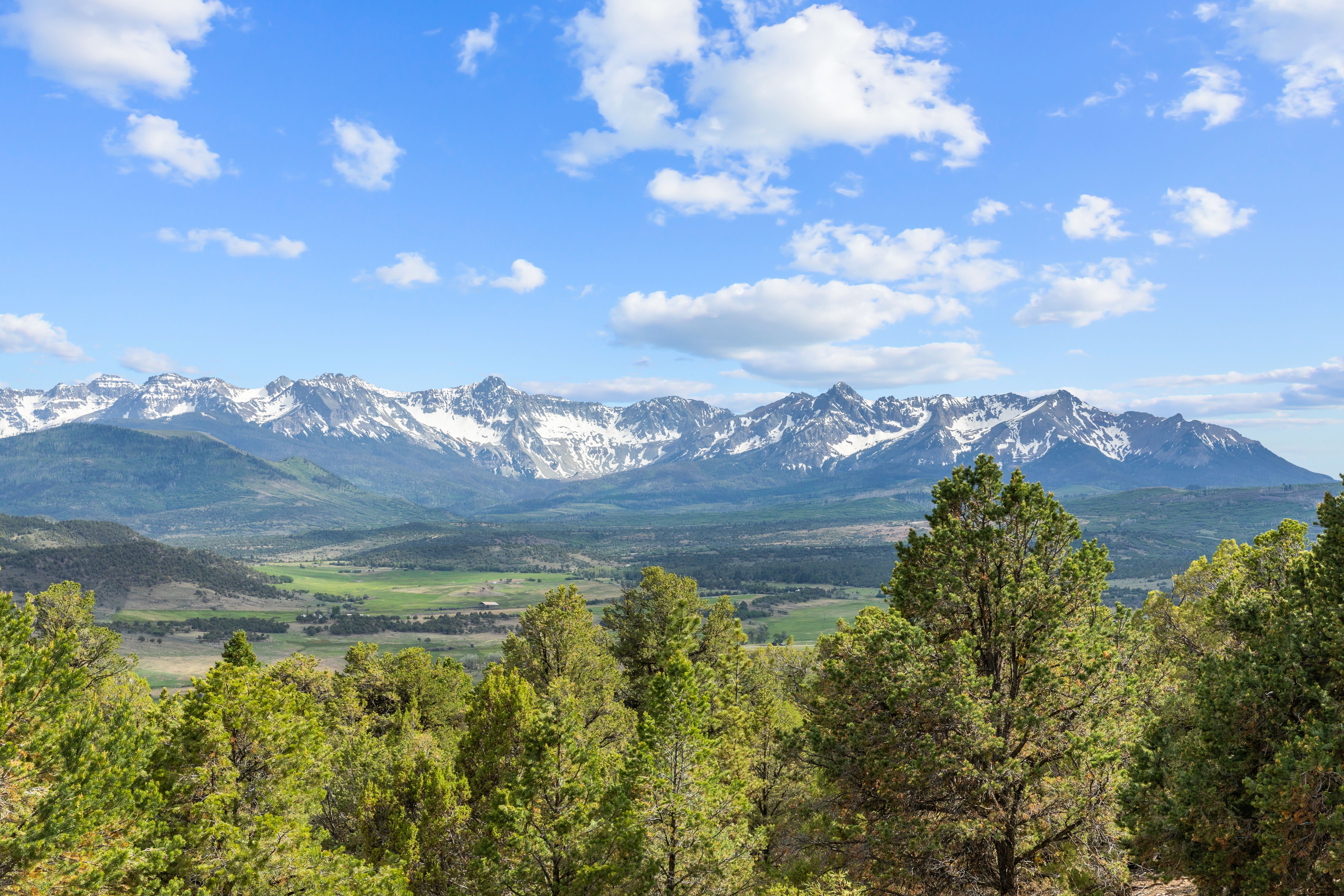  A Rare Find in Ridgway - Privacy, Space, Luxury and Panoramic Views on Acreage - 物件實景