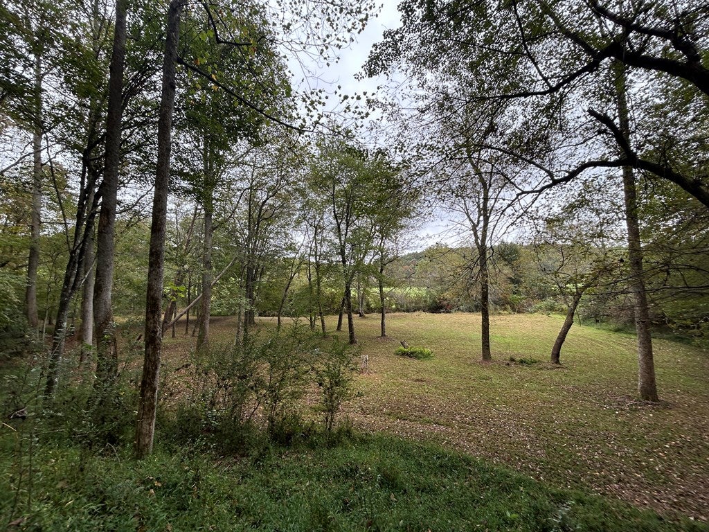 Blue Ridge, Georgia, 30513, United States, 3 Bedrooms Bedrooms, ,3 BathroomsBathrooms,Residential,For Sale,1954403