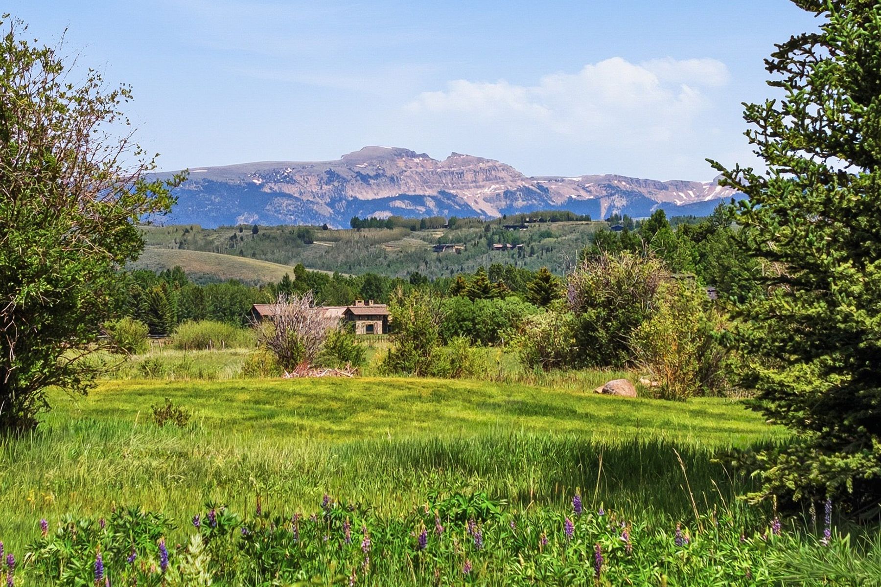  Trapper Lodge on Fish Creek - 物件實景