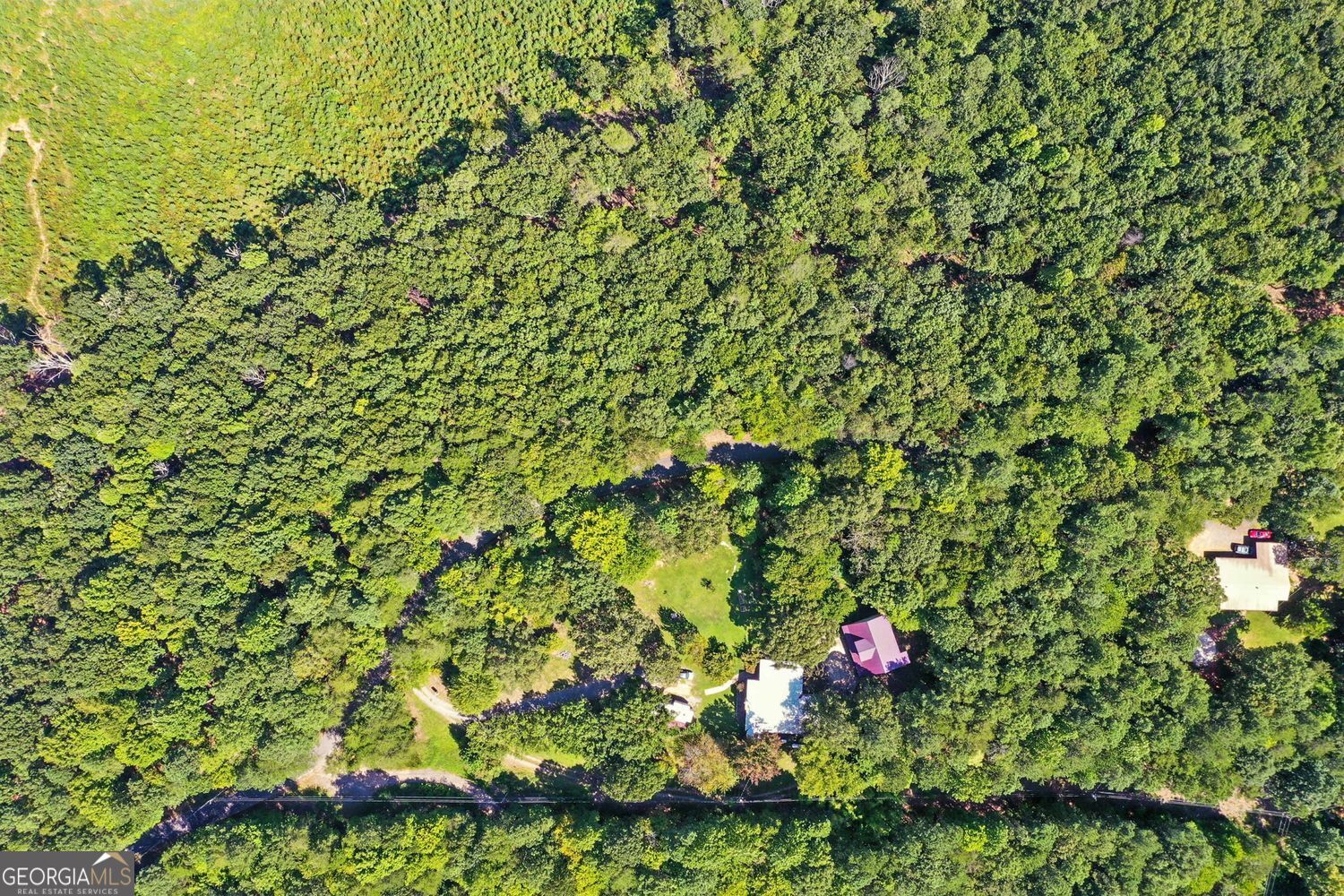 Waleska, Georgia, 30183, United States, ,Land,For Sale,1929808