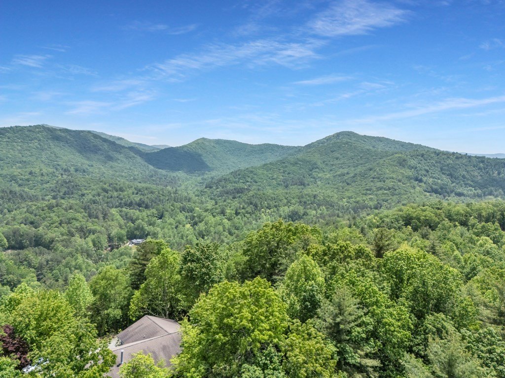 Blairsville, Georgia, 30512, United States, ,Residential,For Sale,1824066