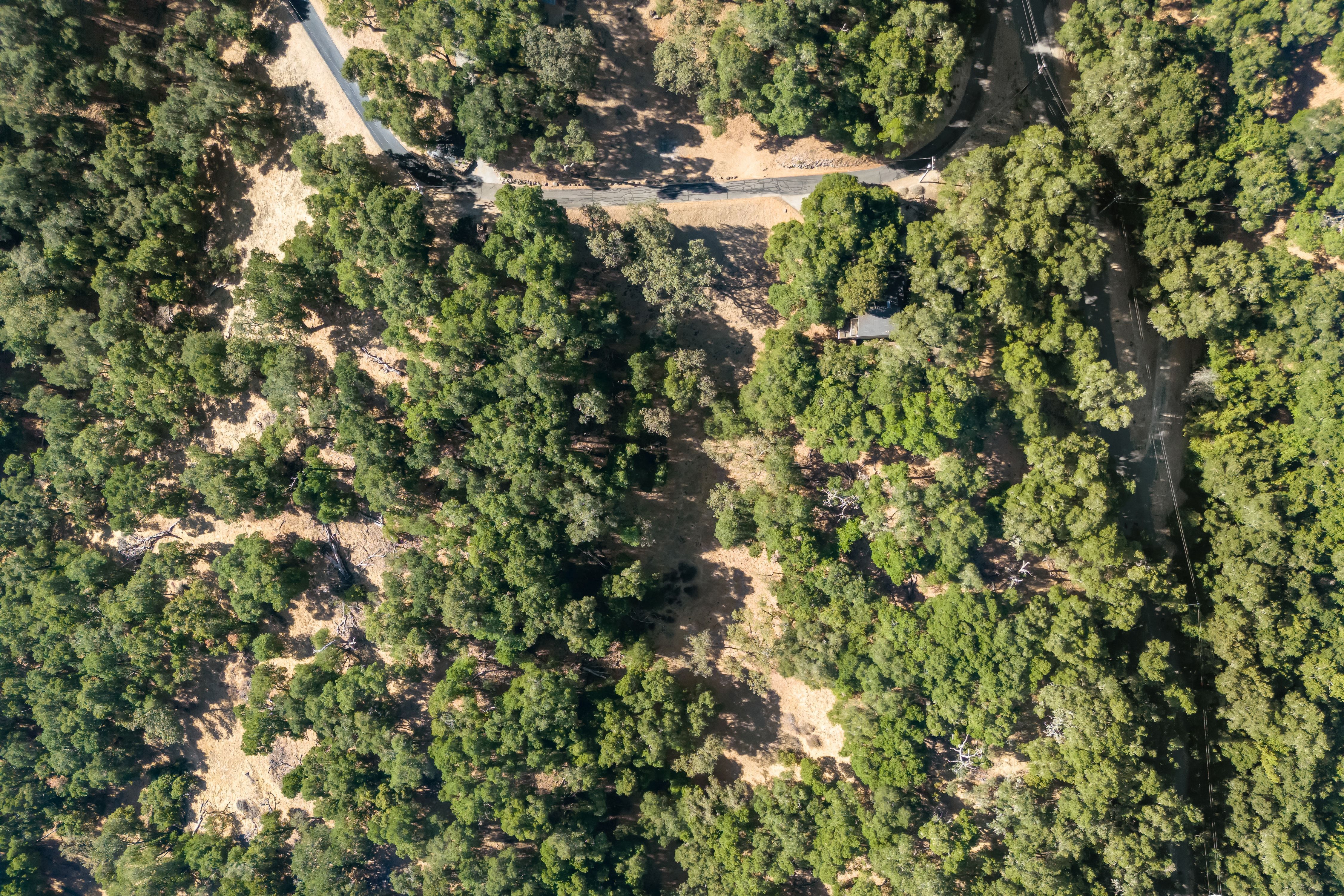  A Private Retreat Among the Oaks - 物件實景