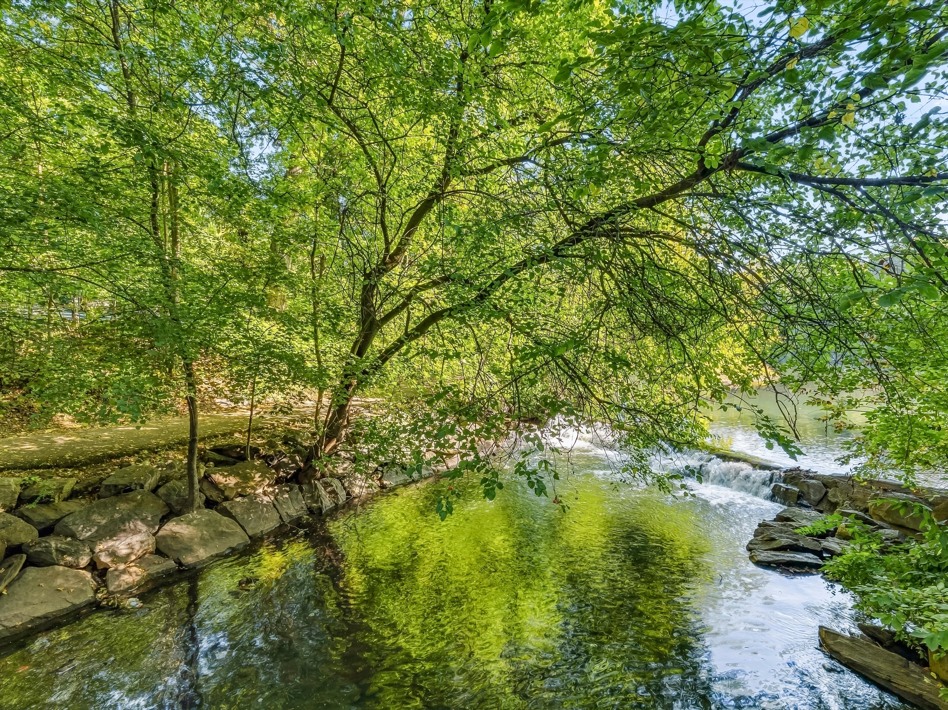  1 Rivermere - 物件實景