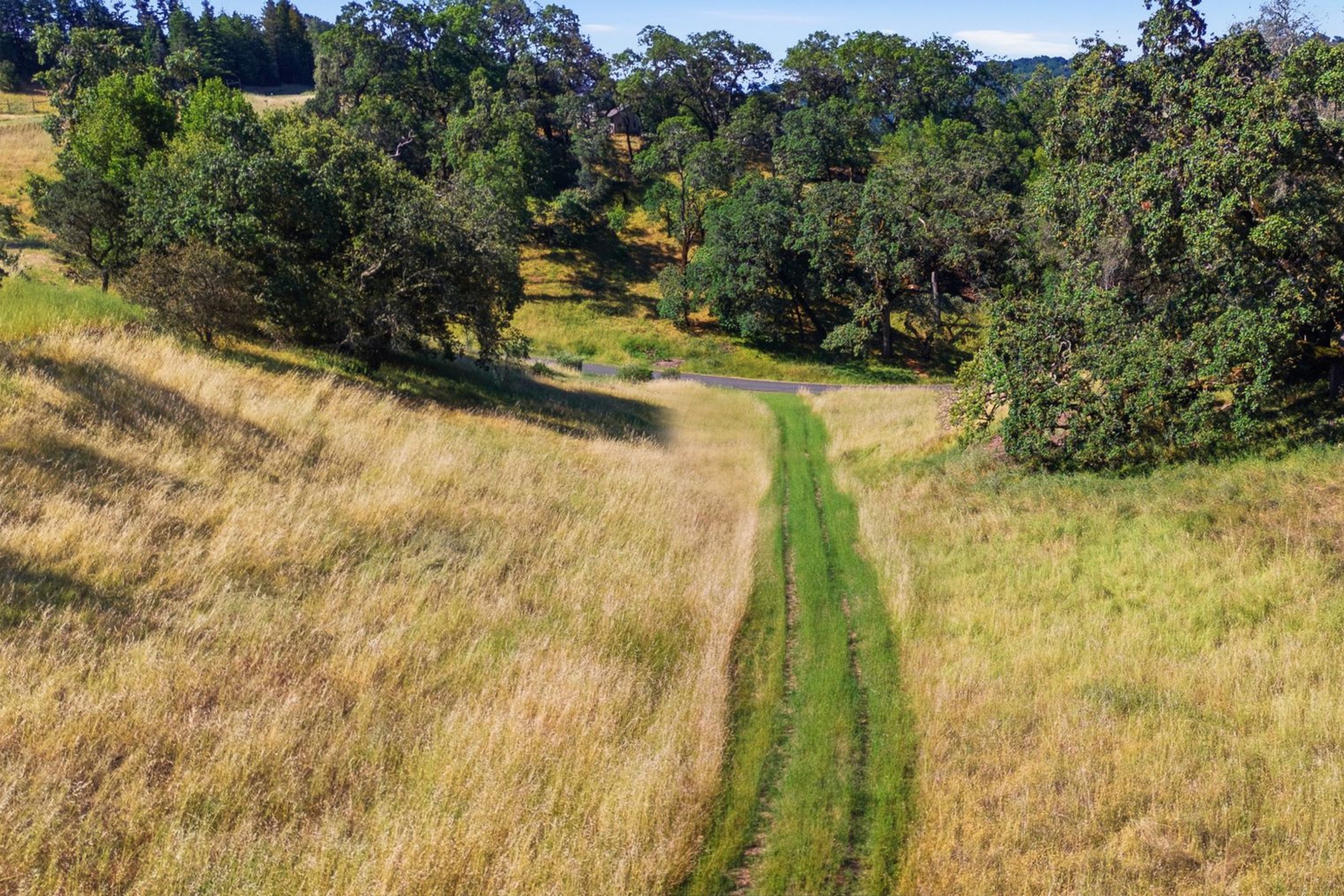  Private Sonoma Valley Retreat - 物件實景