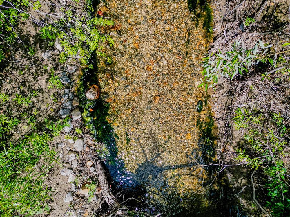 Greenfield, California, 93927, United States, ,Residential,For Sale,1943227