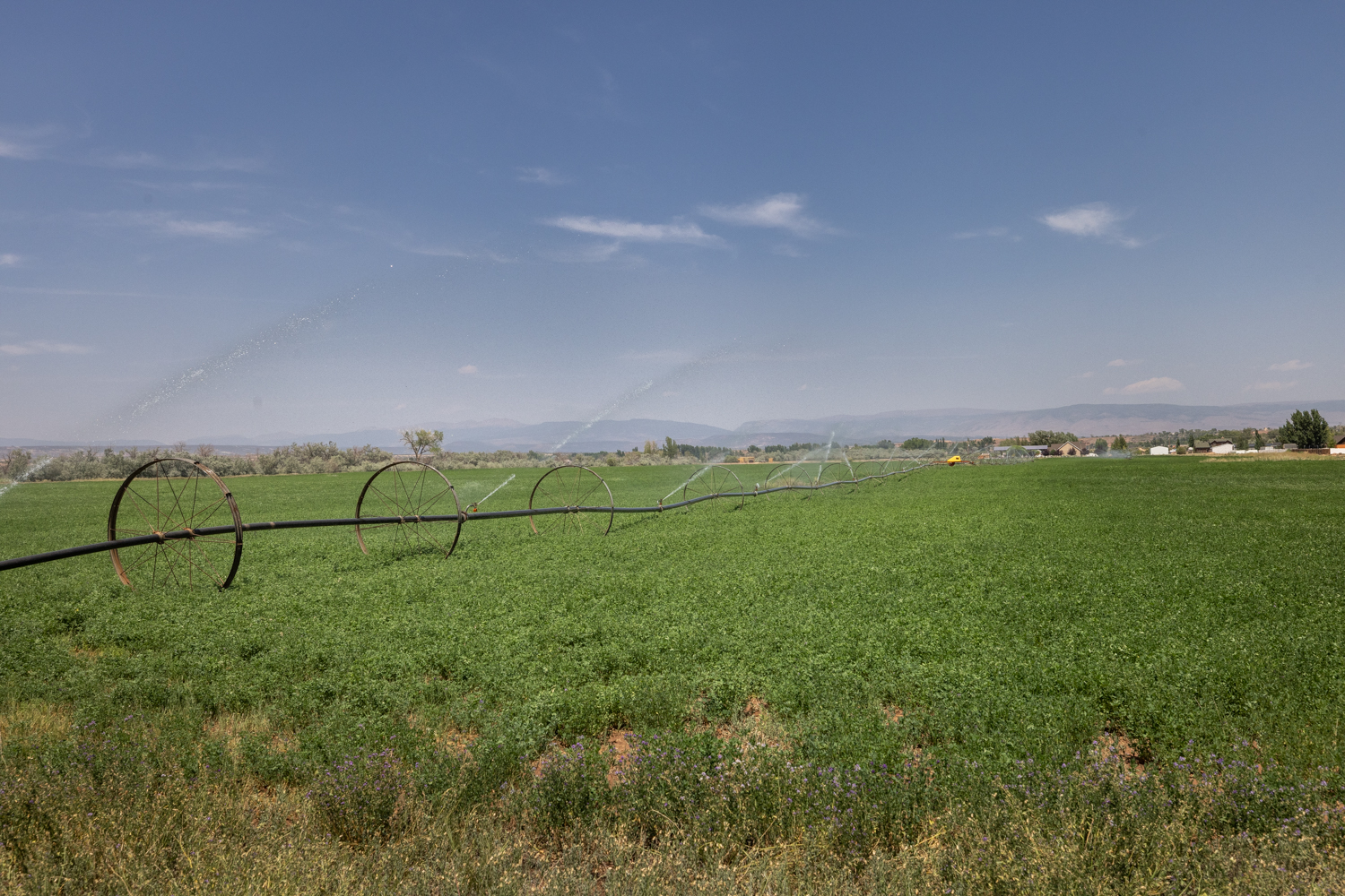 Roosevelt, Utah, 84066, United States, ,Land,For Sale,1903597