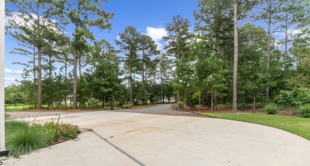 Webb, Alabama, 36376, United States, 3 Bedrooms Bedrooms, ,3 BathroomsBathrooms,Residential,For Sale,1917089