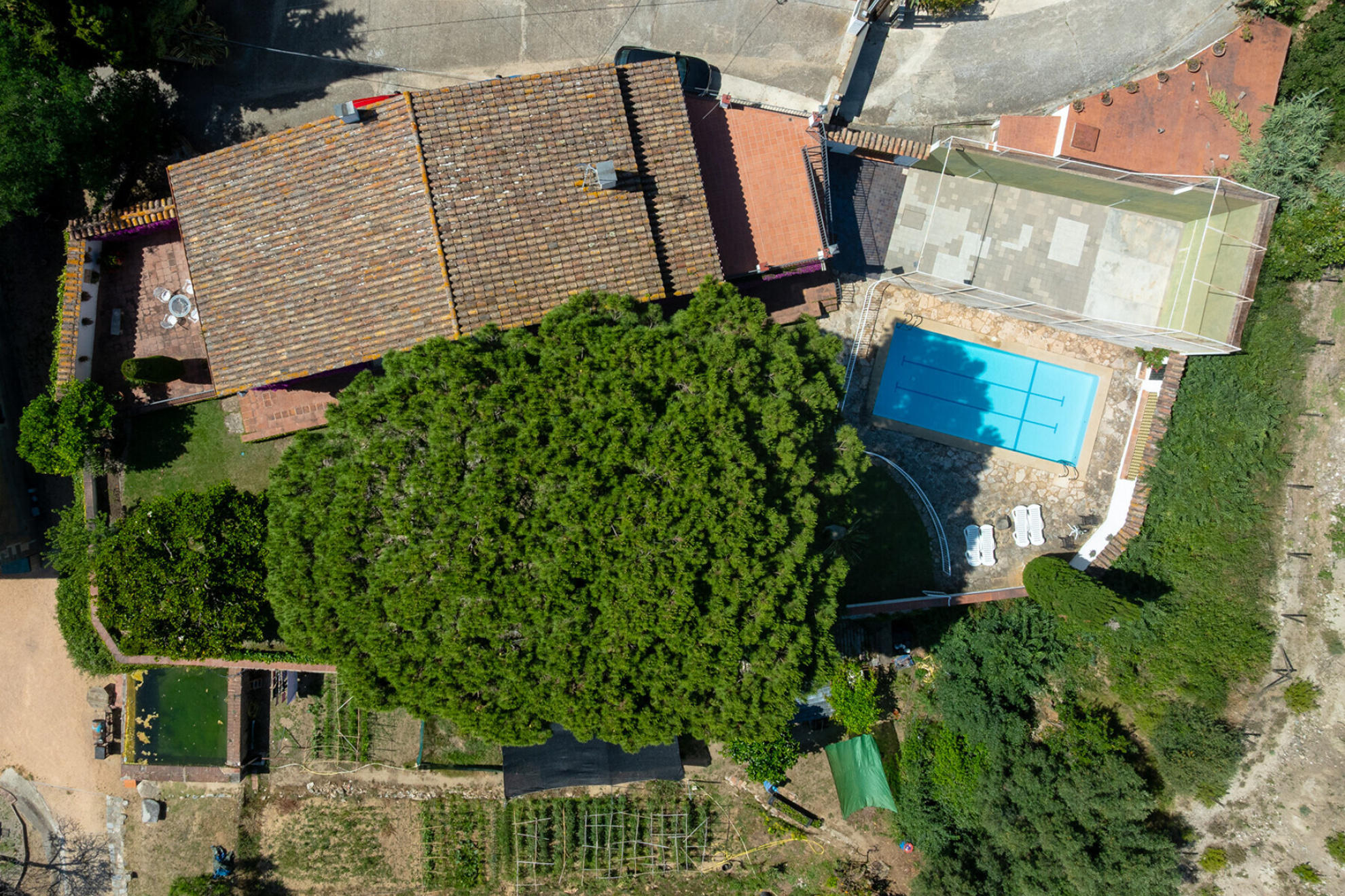  House with ocean views and a tourism license in Premià de Dalt - 物件實景