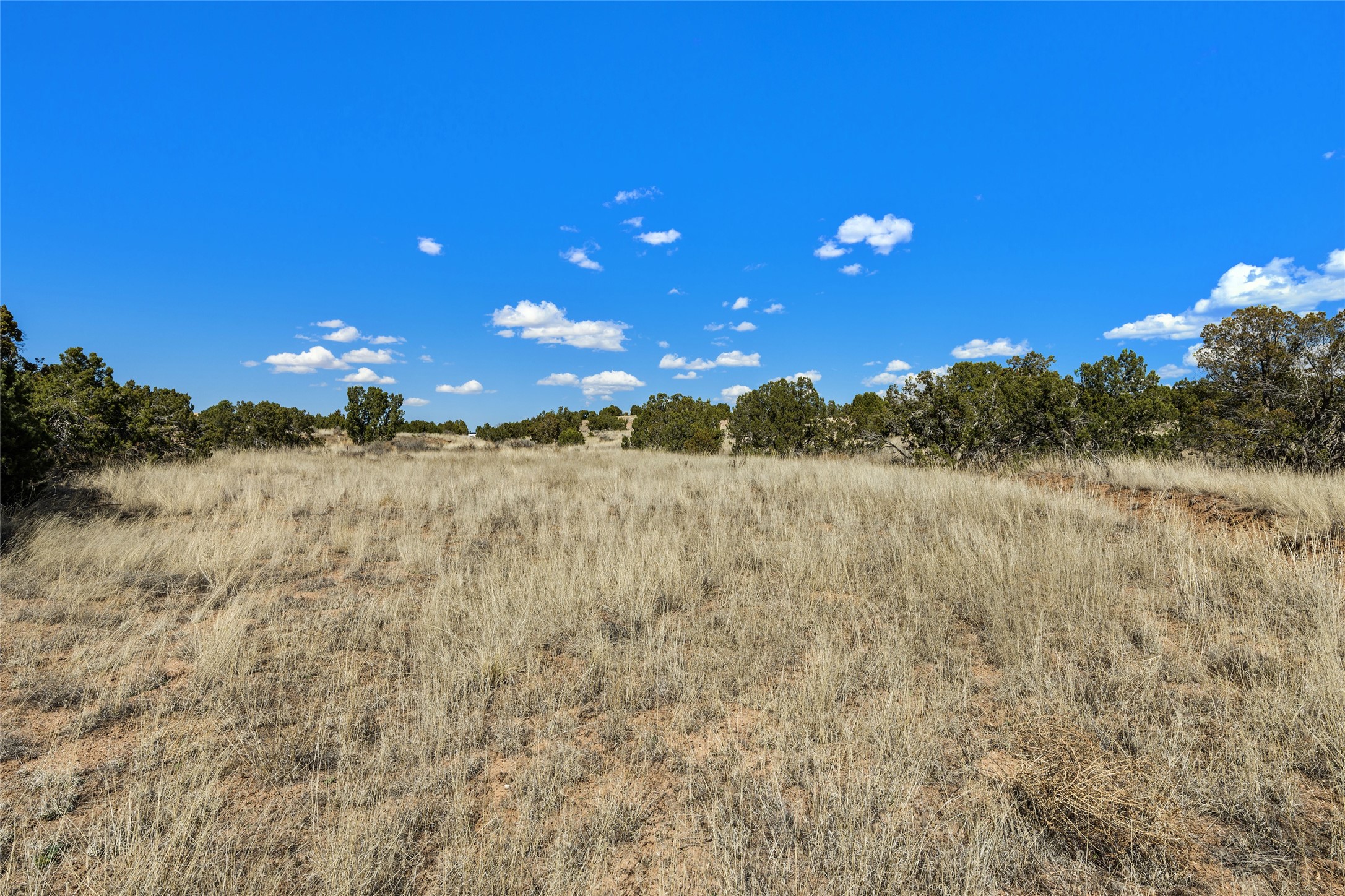  31 Calle Ventoso East, Lot 782 - 物件實景