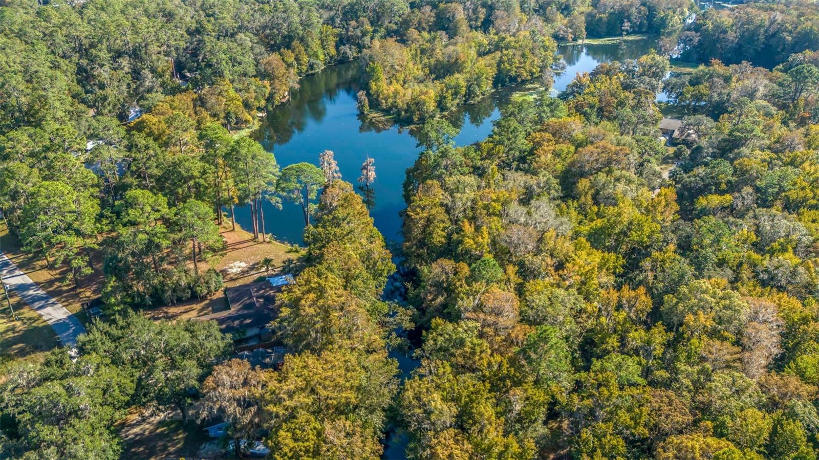 DUNNELLON, Florida, 34431, United States, 3 Bedrooms Bedrooms, ,2 BathroomsBathrooms,Residential,For Sale,1993271