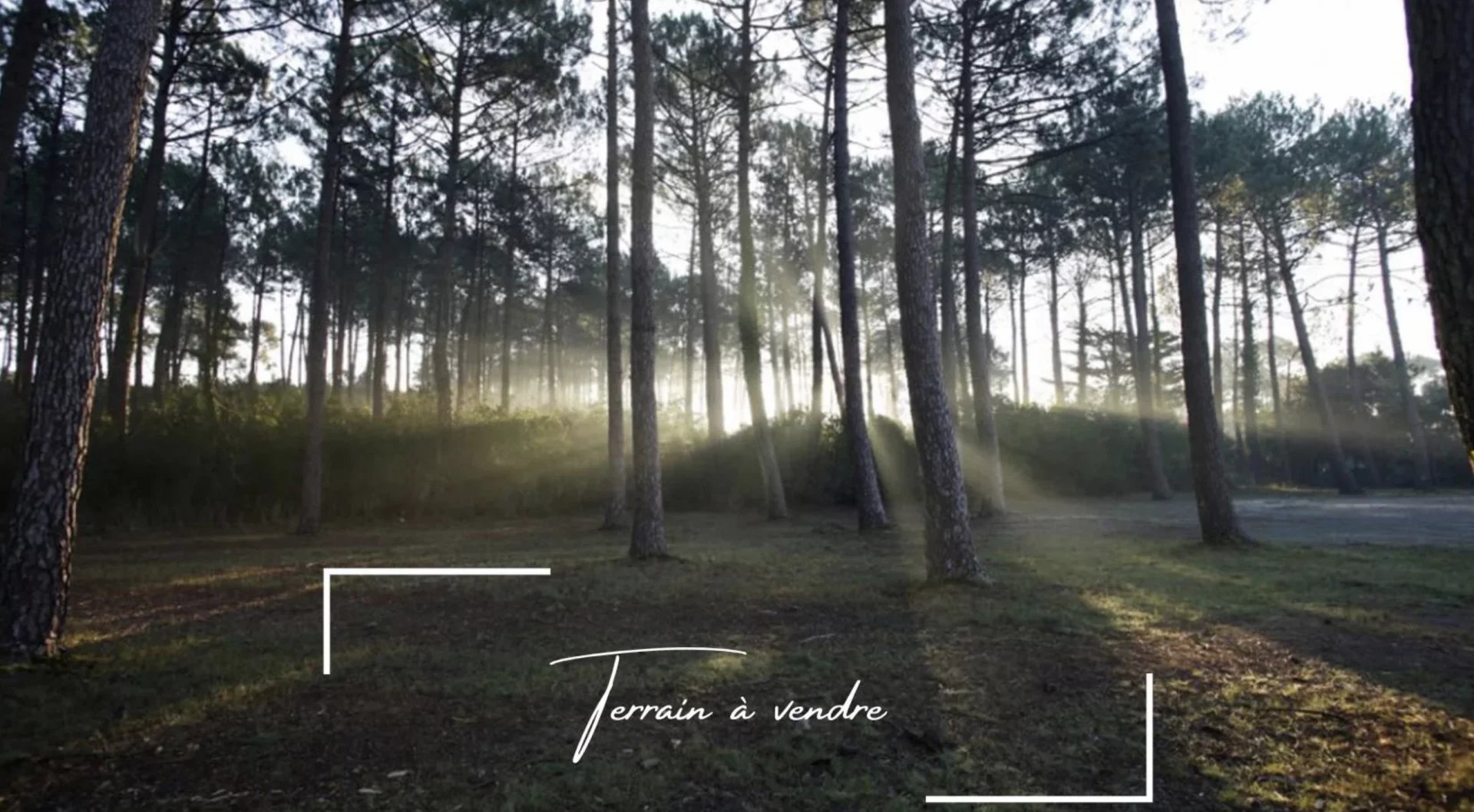 Andernos-les-Bains, New Aquitaine, 33510, FR, ,Land,For Sale,1443143