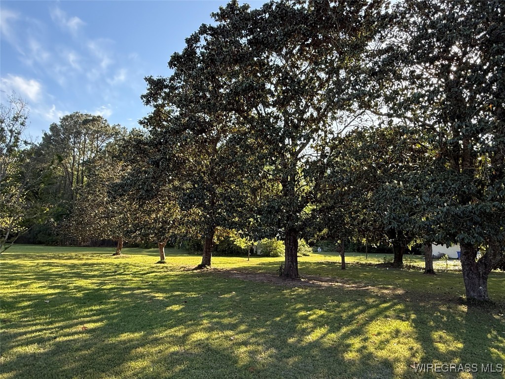 Enterprise, Alabama, 36330, United States, 4 Bedrooms Bedrooms, ,4 BathroomsBathrooms,Residential,For Sale,1912414