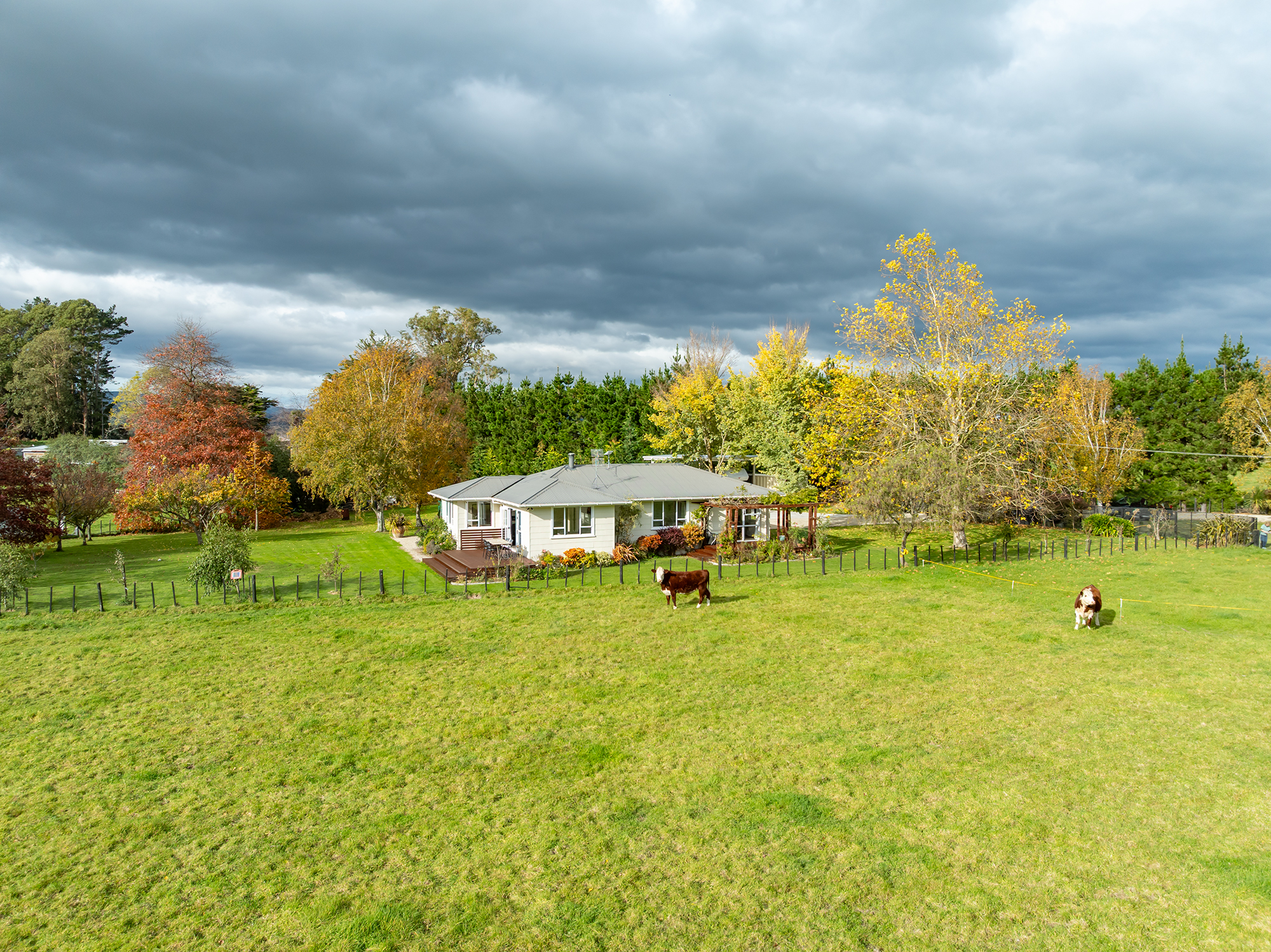  Wairarapa Lifestyle Haven - 物件實景