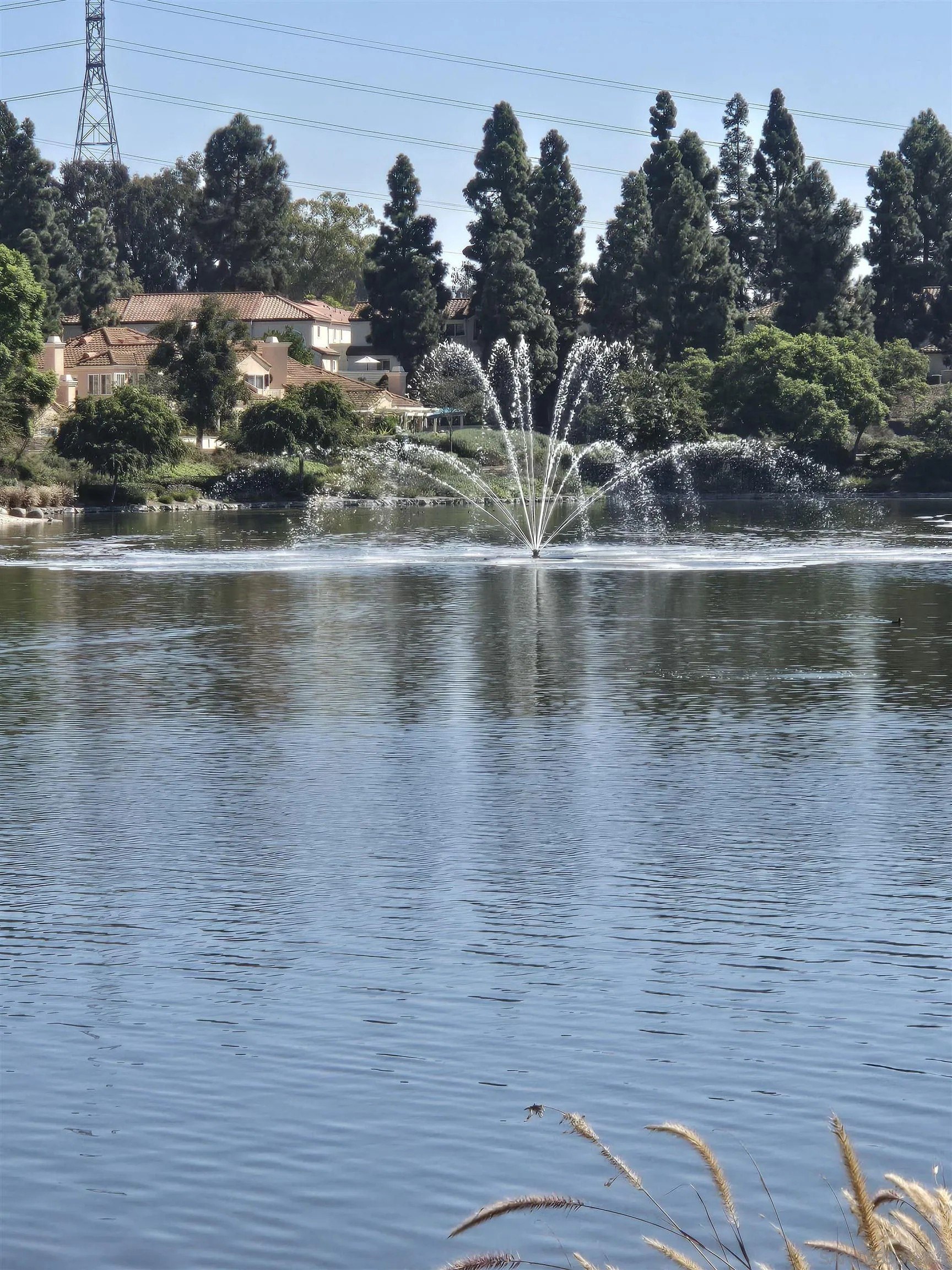 Chula Vista, California, 91913, United States, 3 Bedrooms Bedrooms, ,2 BathroomsBathrooms,Residential,For Sale,1859541