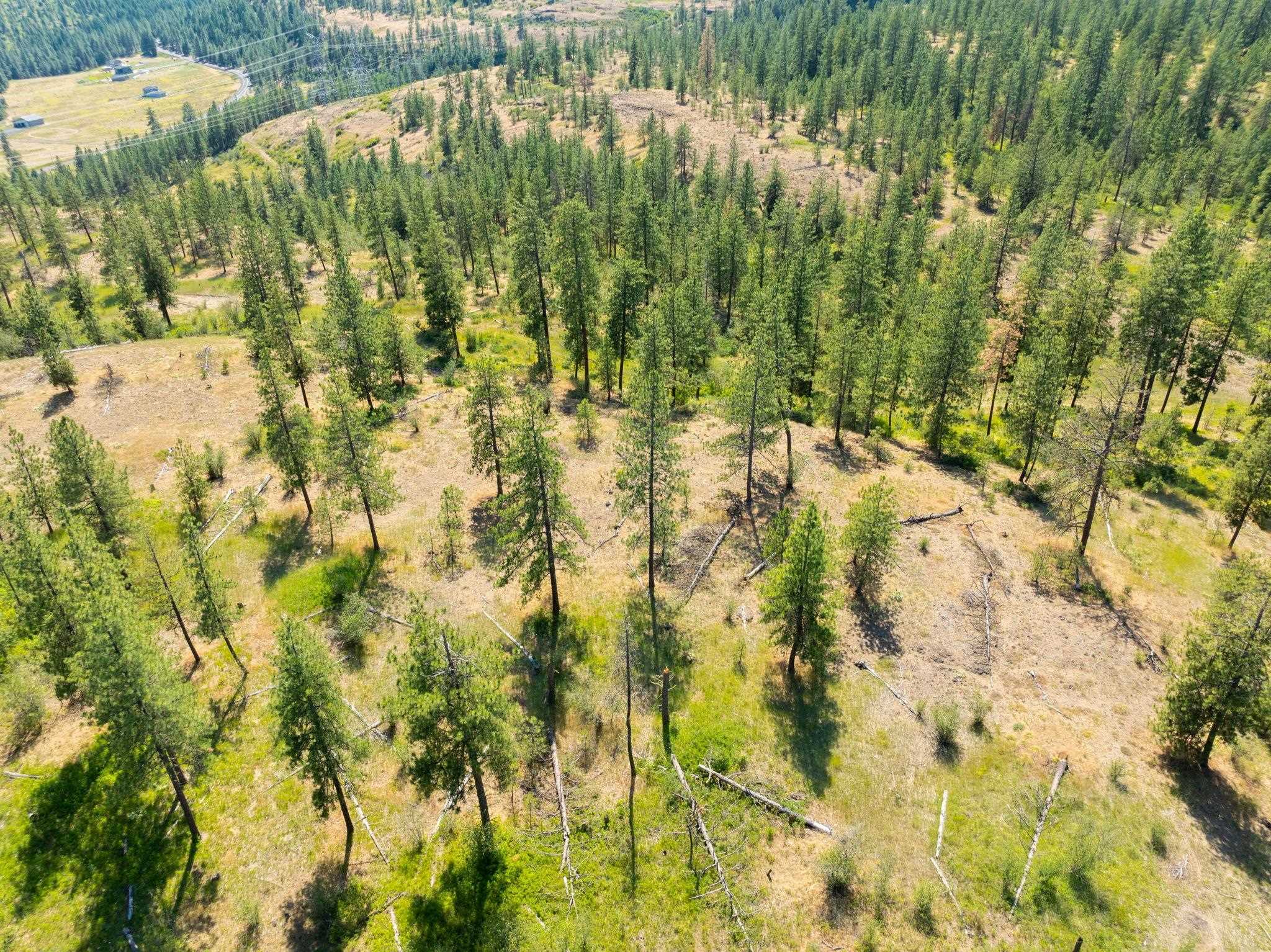 Nine Mile Falls, Washington, 99026, United States, ,Land,For Sale,1960887