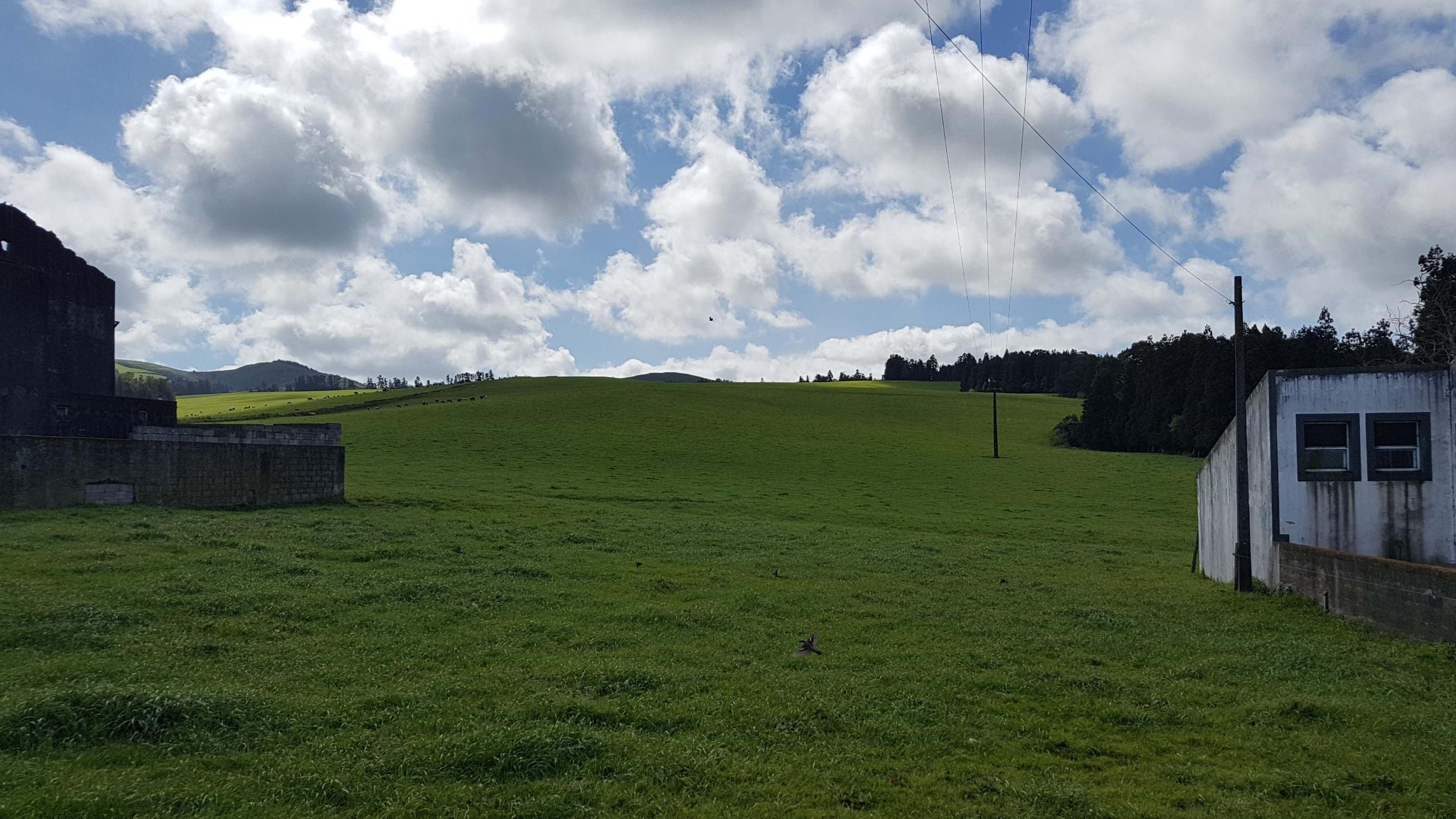Ribeira Grande, Ilha de São Miguel, 9600, PT, ,Land,For Sale,1699985