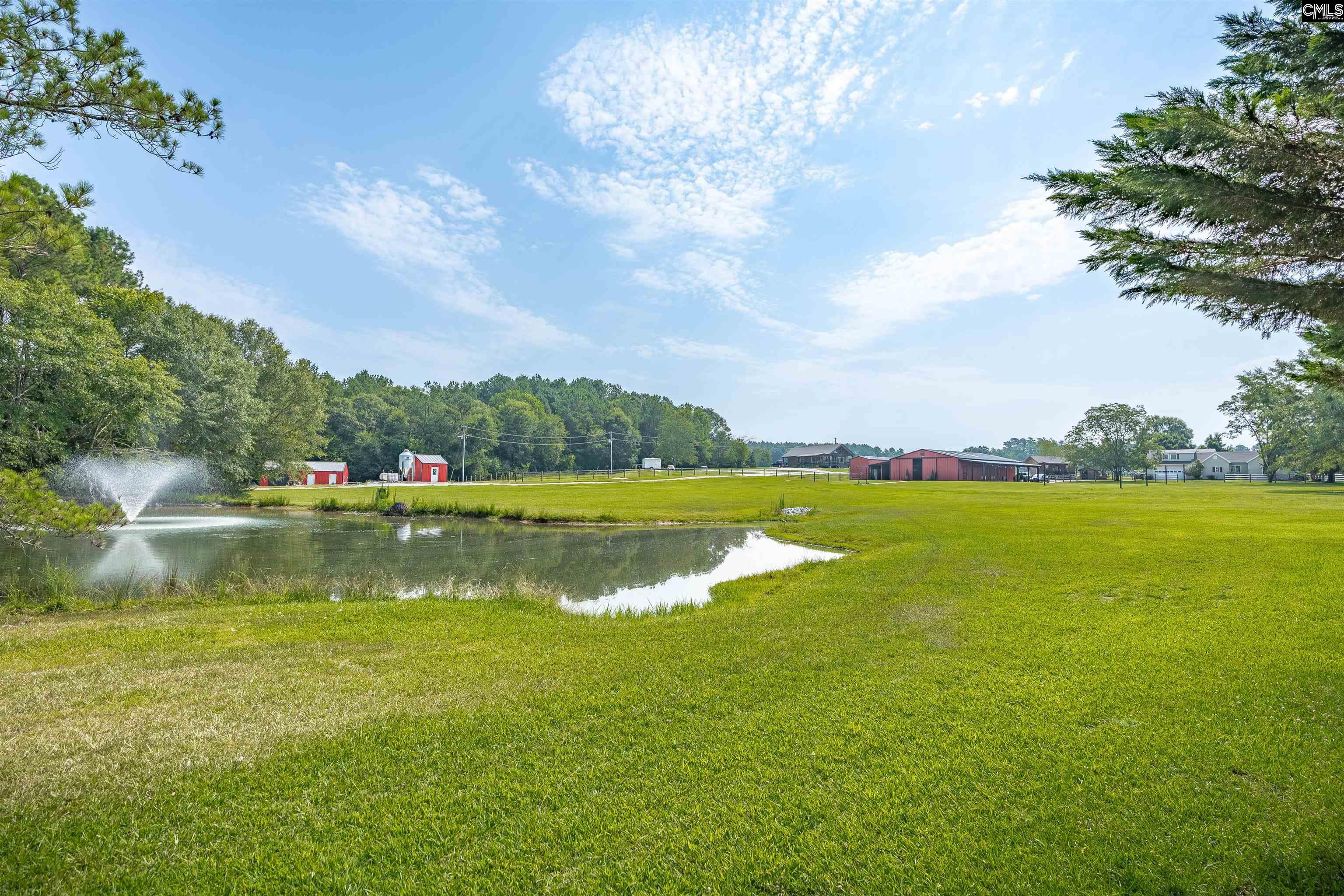 Newberry, South Carolina, 29108, United States, 3 Bedrooms Bedrooms, ,3 BathroomsBathrooms,Residential,For Sale,1987677