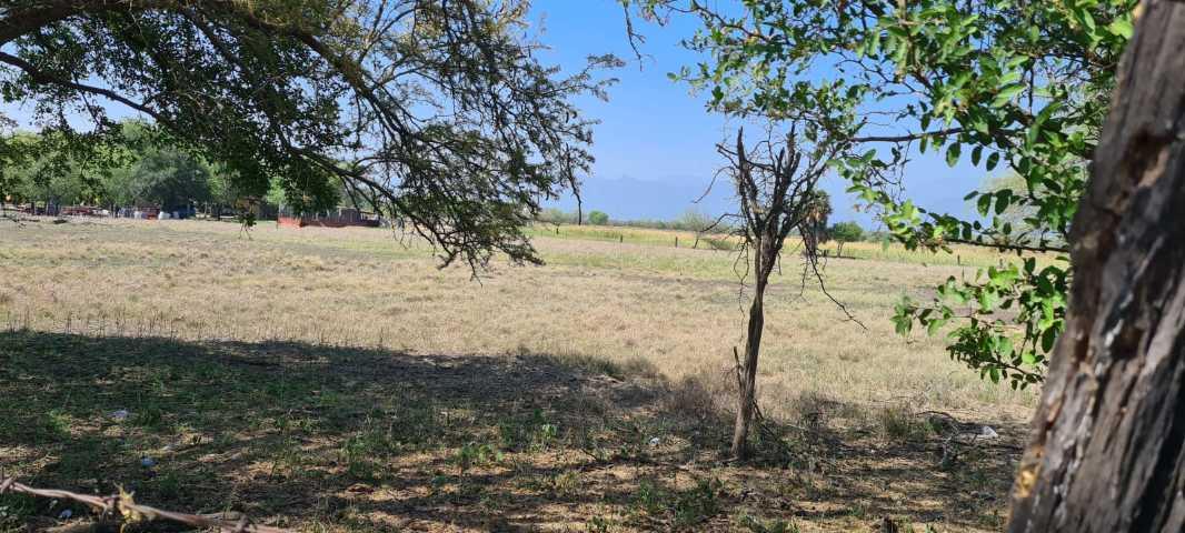 EJI SAN JUAN DE LOS GARZA, Cadereyta Jiménez, Nuevo León, 67459, Mexico, 1 Bedroom Bedrooms, ,Residential,For Sale,EJI SAN JUAN DE LOS GARZA,1440992