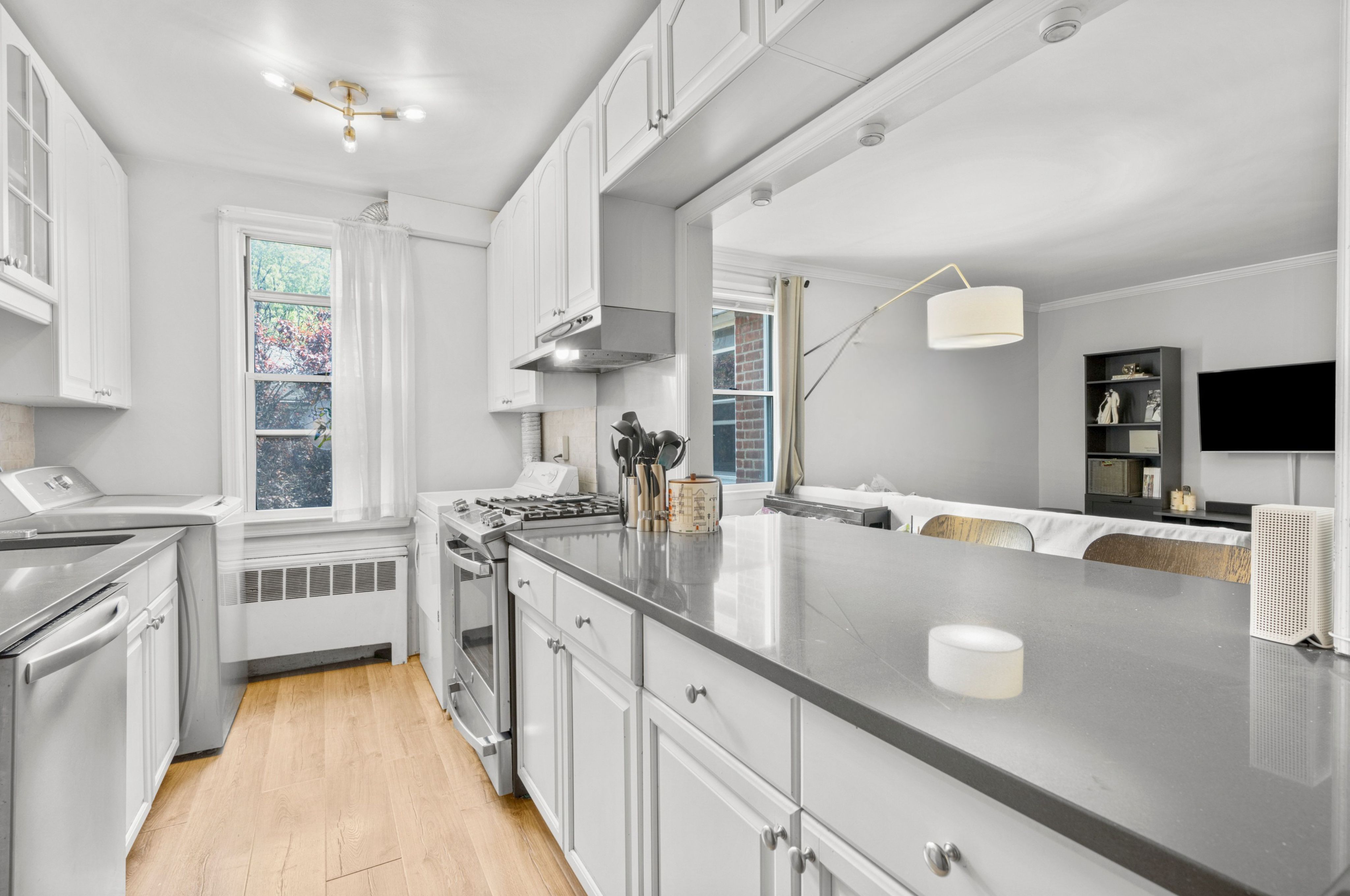  Beautiful Palmer Terrace Co-op - 物件實景