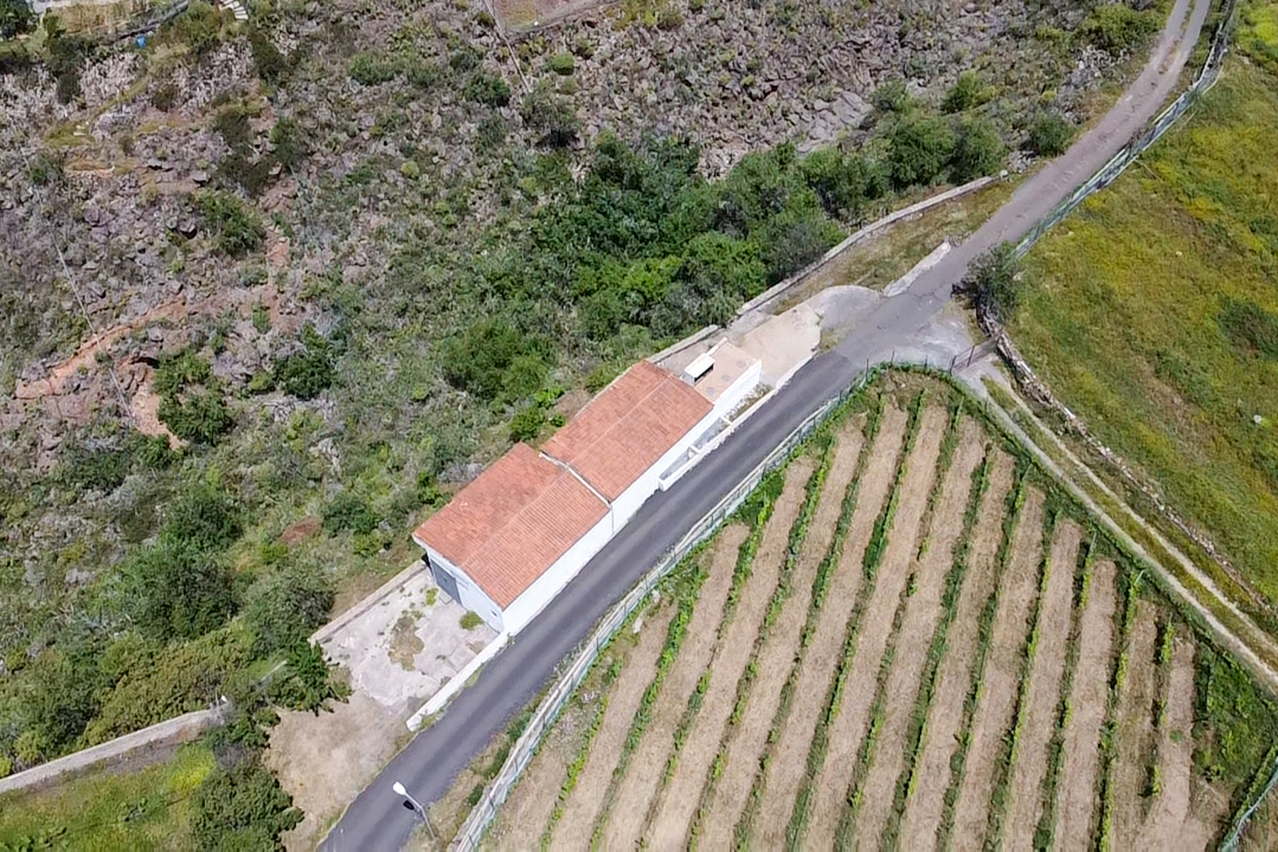  Traditional Agricultural Estate with Winery in Tenerife South - 物件實景
