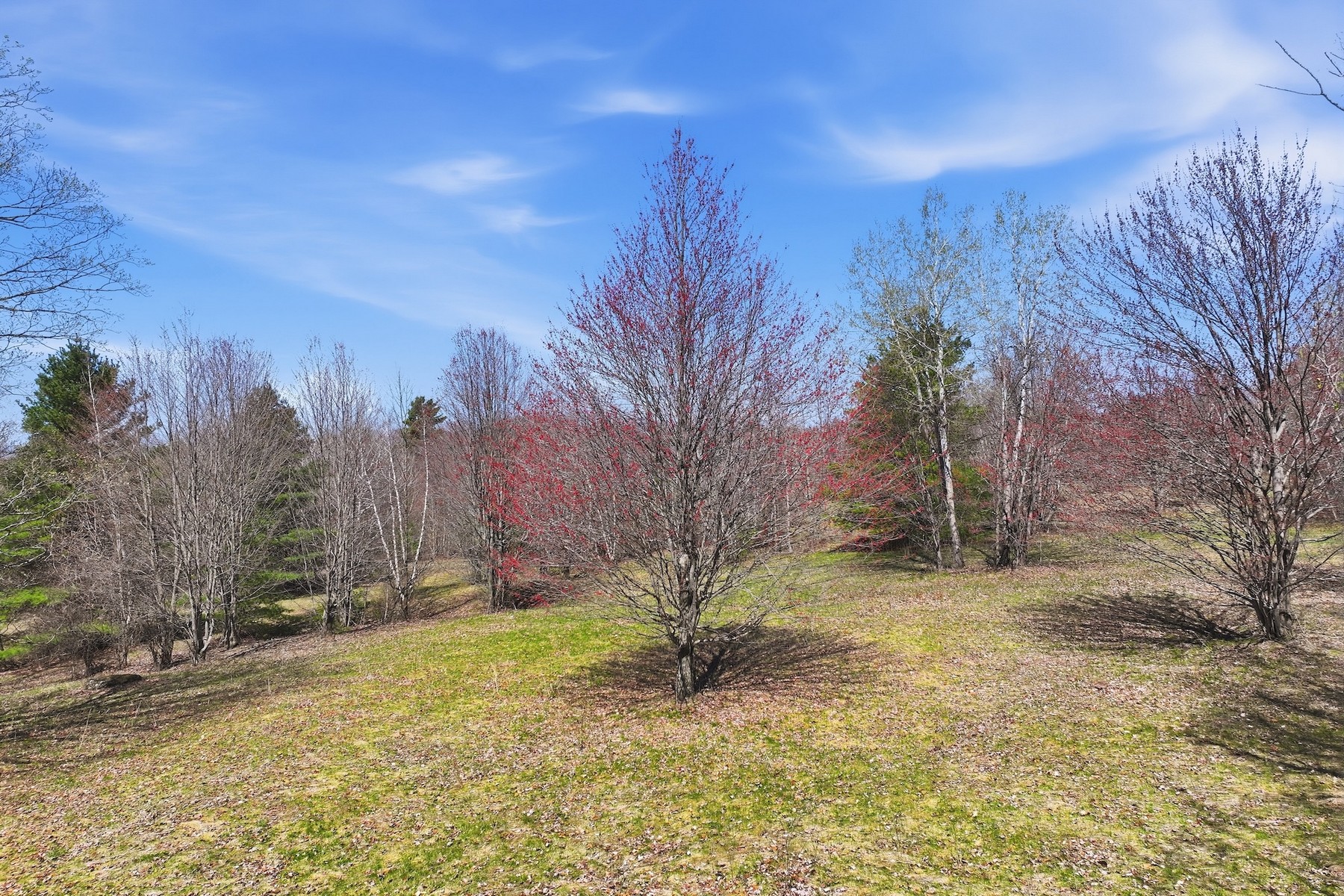  351 Ledgewood Drive - 物件實景