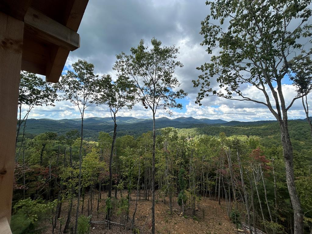 Mineral Bluff, Georgia, 30559, United States, 4 Bedrooms Bedrooms, ,4 BathroomsBathrooms,Residential,For Sale,1871299