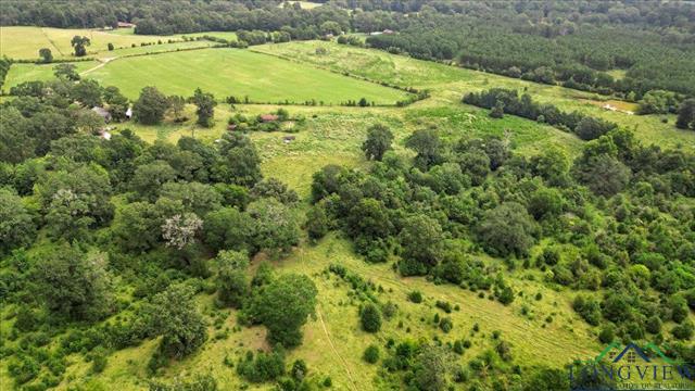 Henderson, Texas, 75654, United States, ,Land,For Sale,1951348