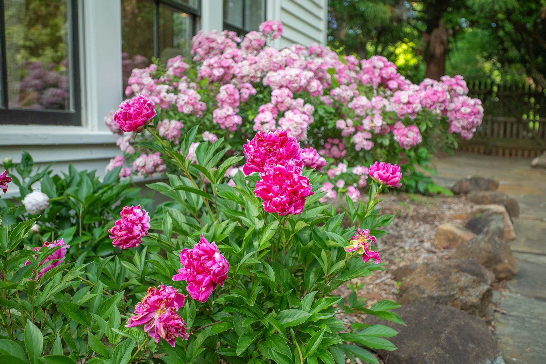  . - 物件實景
